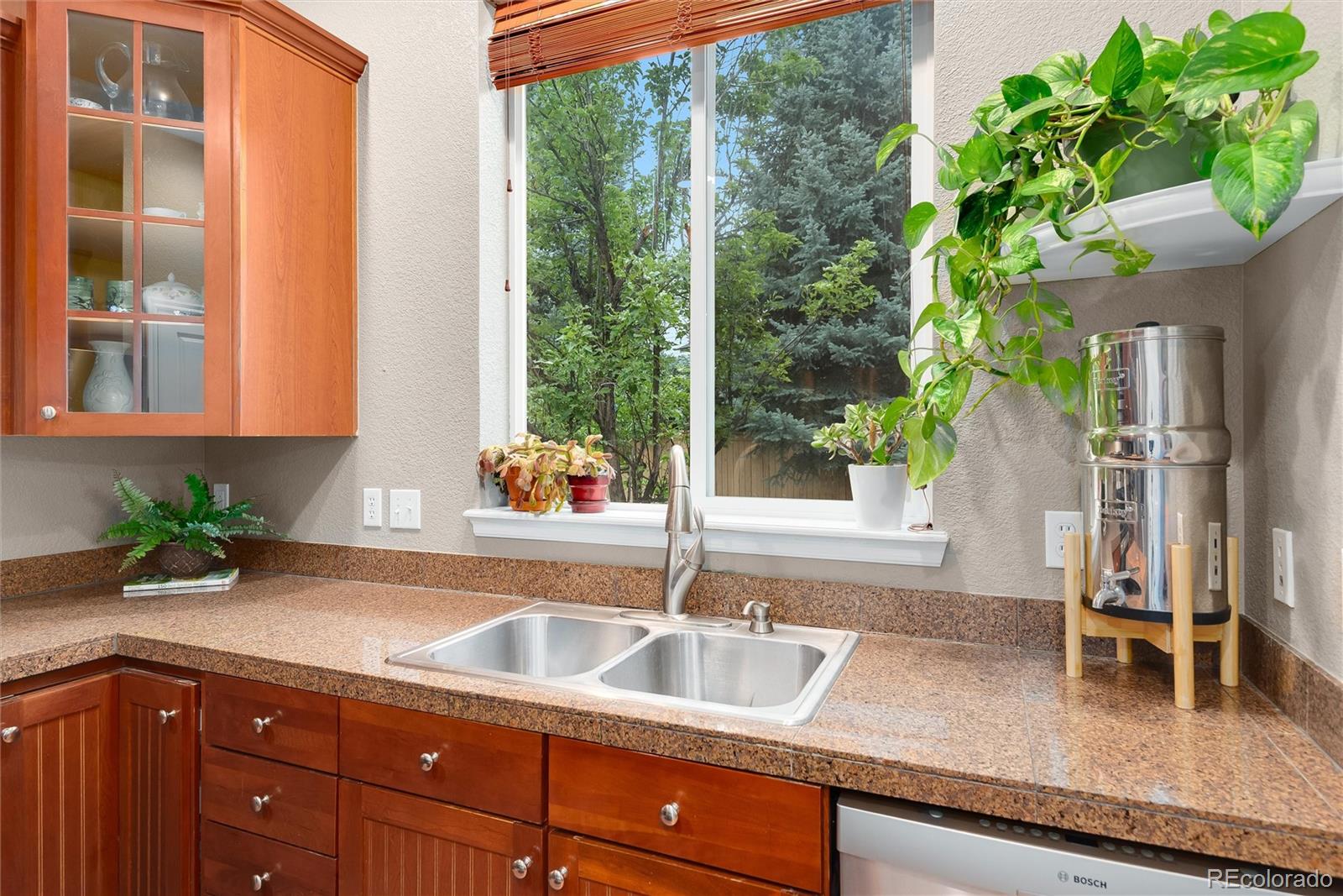 MLS Image #15 for 10665  riverbrook circle,littleton, Colorado
