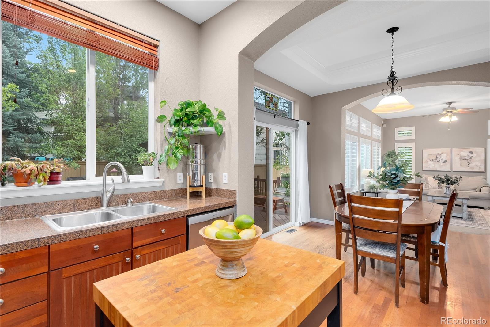 MLS Image #17 for 10665  riverbrook circle,littleton, Colorado