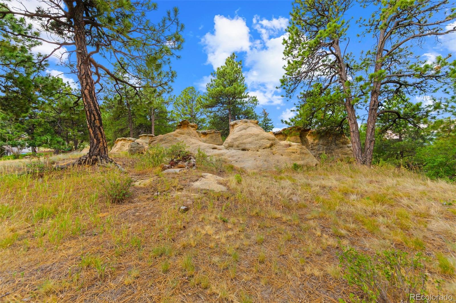 MLS Image #38 for 4165  mcpherson avenue,colorado springs, Colorado