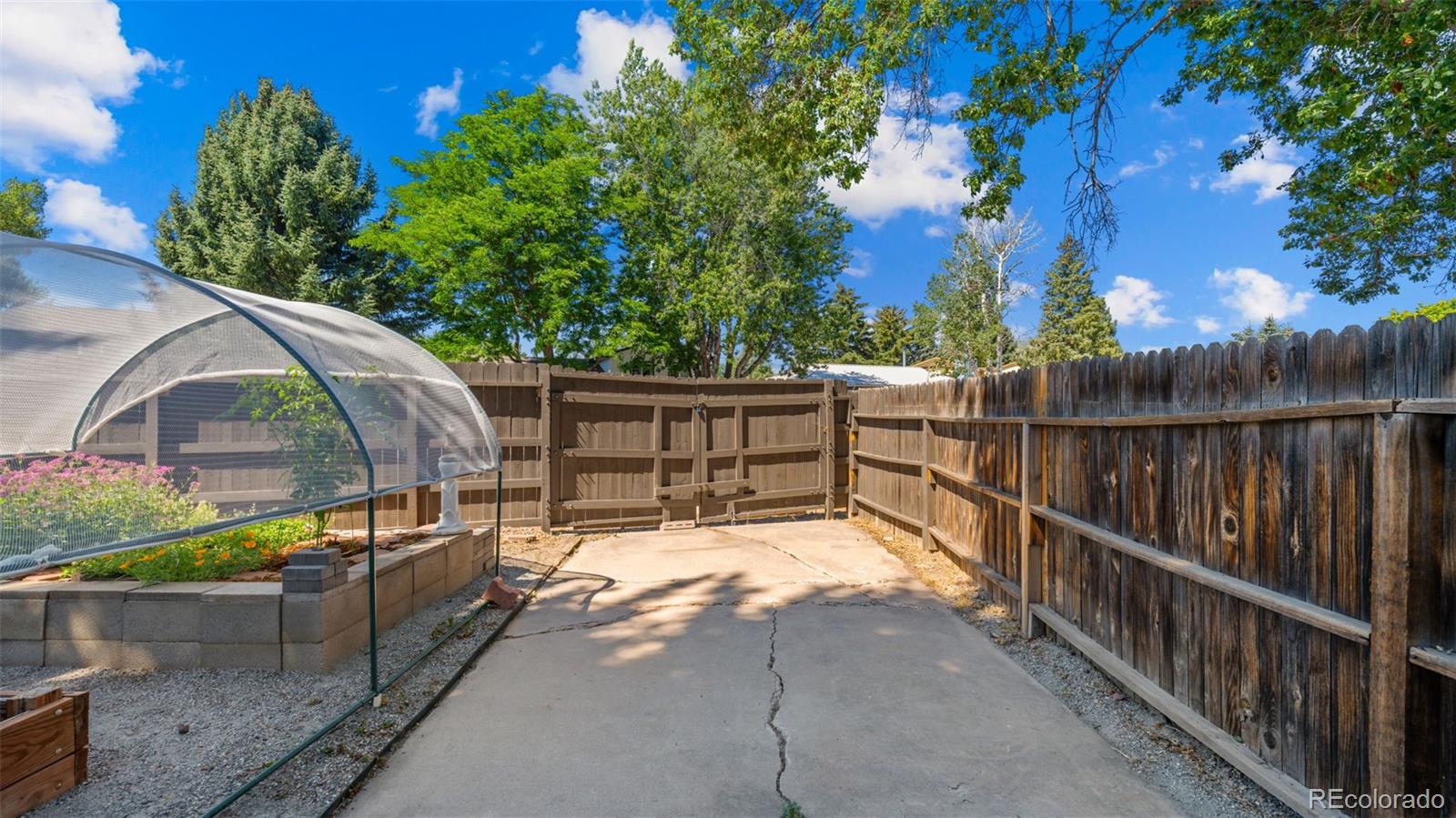 MLS Image #26 for 3848  fetlock circle,colorado springs, Colorado