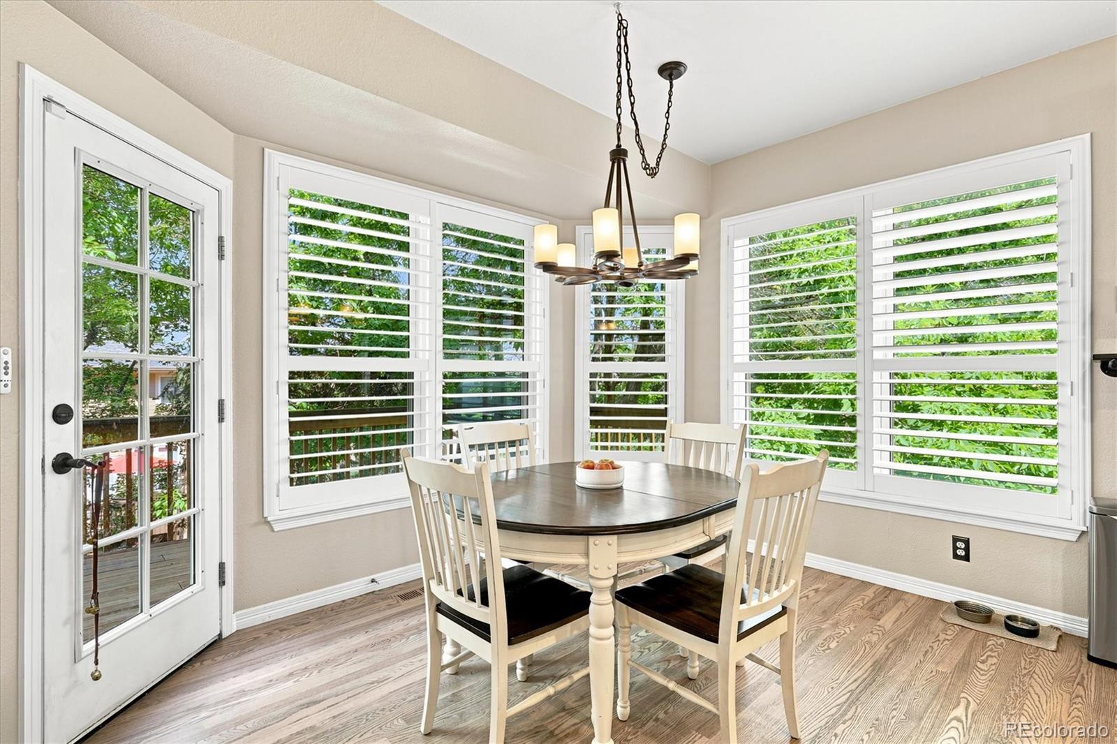 MLS Image #21 for 281  phillips peak ,highlands ranch, Colorado