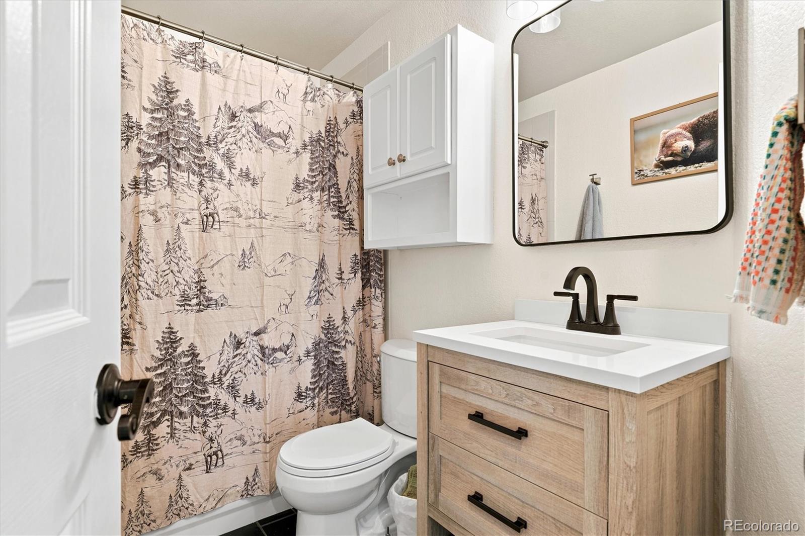 MLS Image #23 for 281  phillips peak ,highlands ranch, Colorado