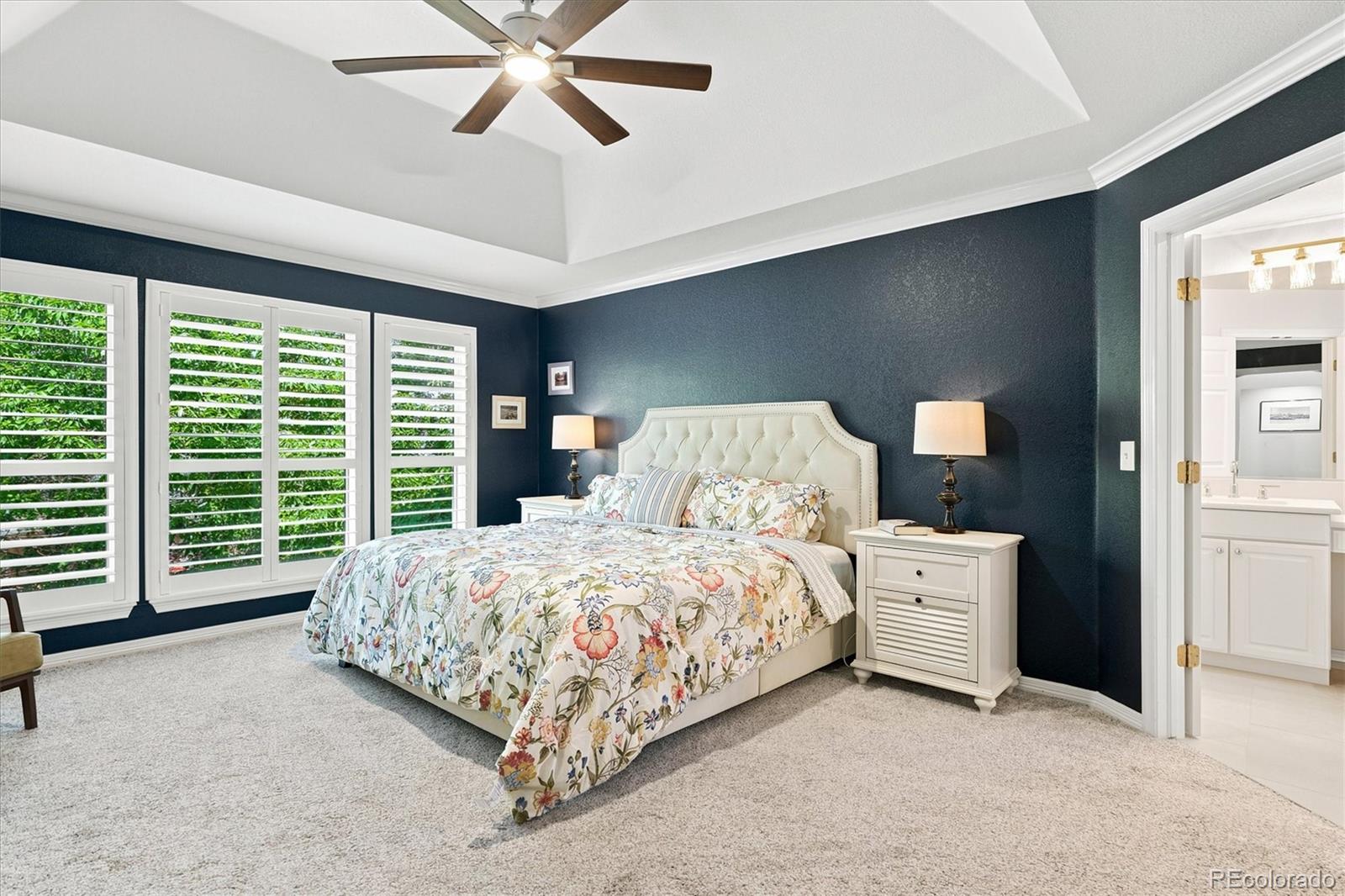 MLS Image #26 for 281  phillips peak ,highlands ranch, Colorado