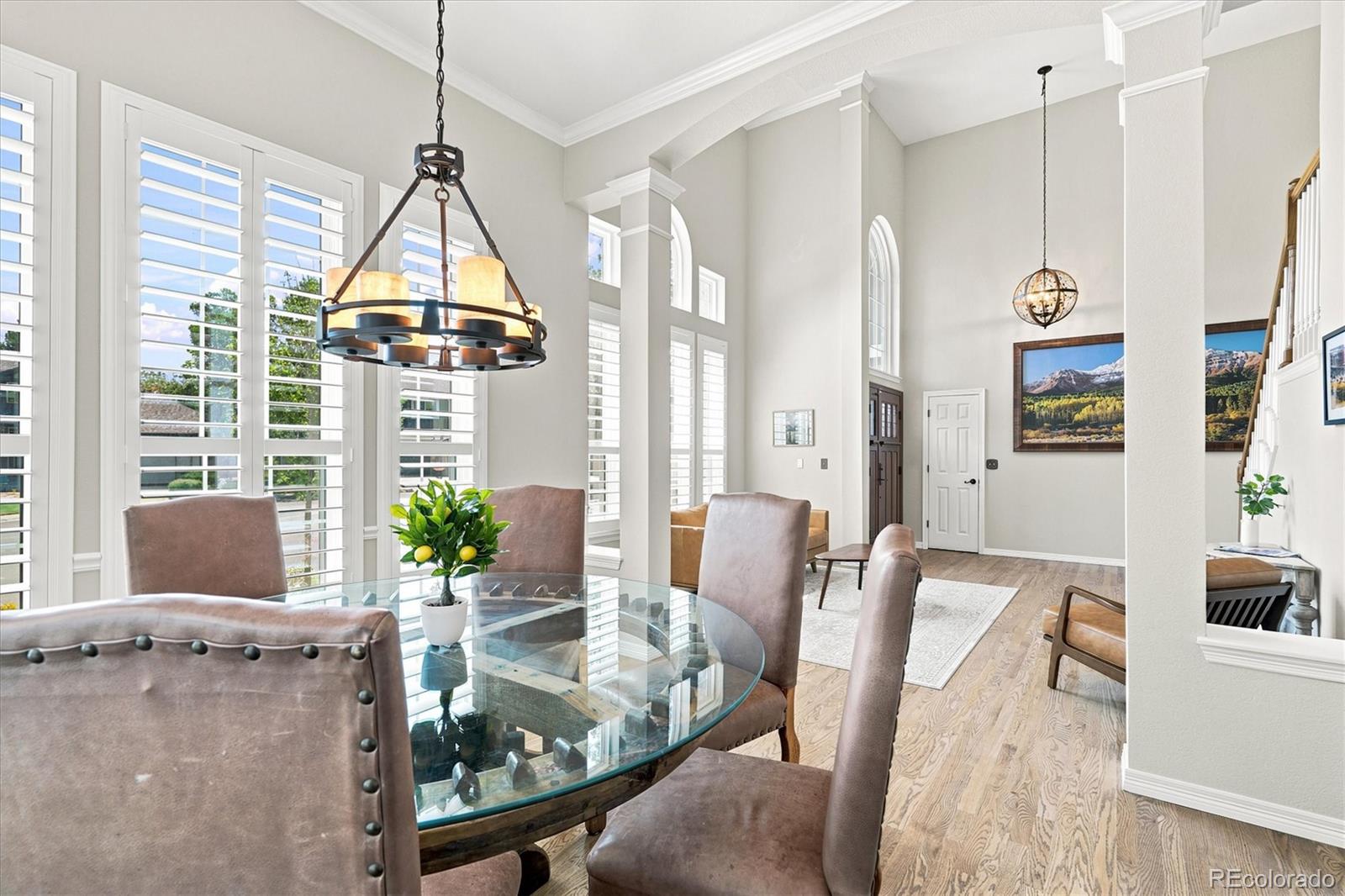 MLS Image #7 for 281  phillips peak ,highlands ranch, Colorado