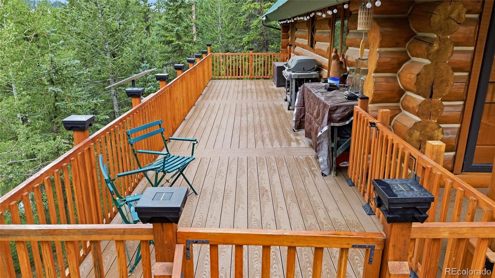 MLS Image #15 for 2668  soda creek road,idaho springs, Colorado
