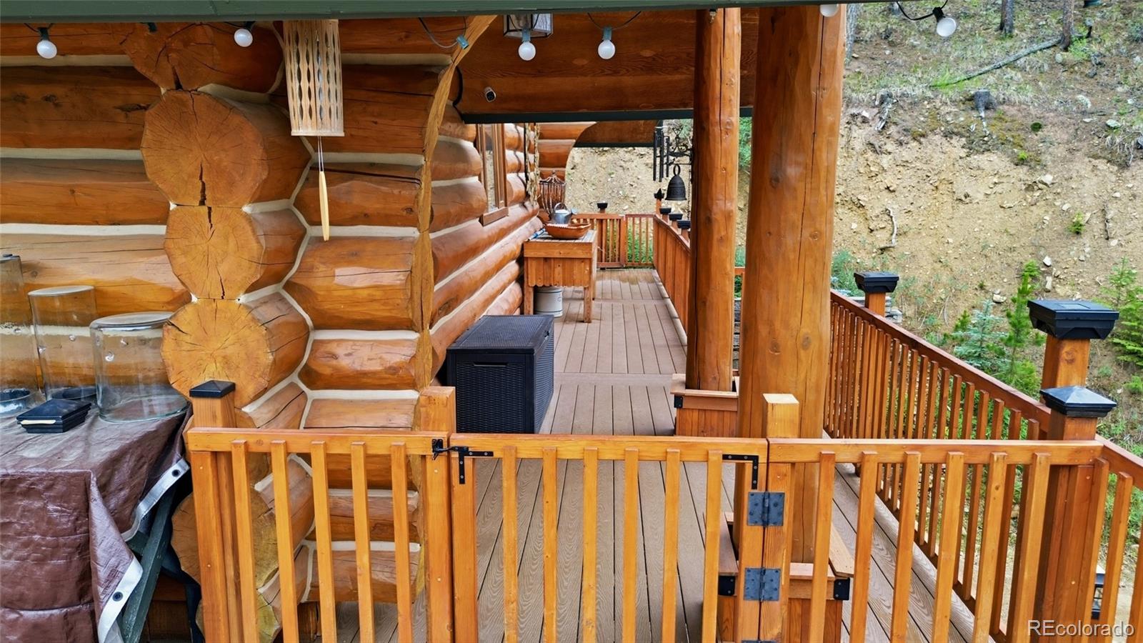 MLS Image #16 for 2668  soda creek road,idaho springs, Colorado