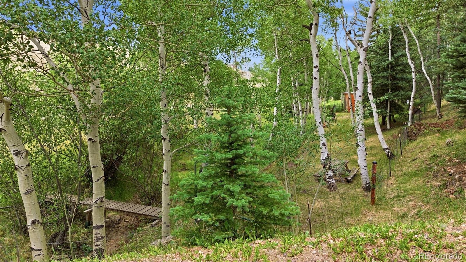 MLS Image #47 for 2668  soda creek road,idaho springs, Colorado