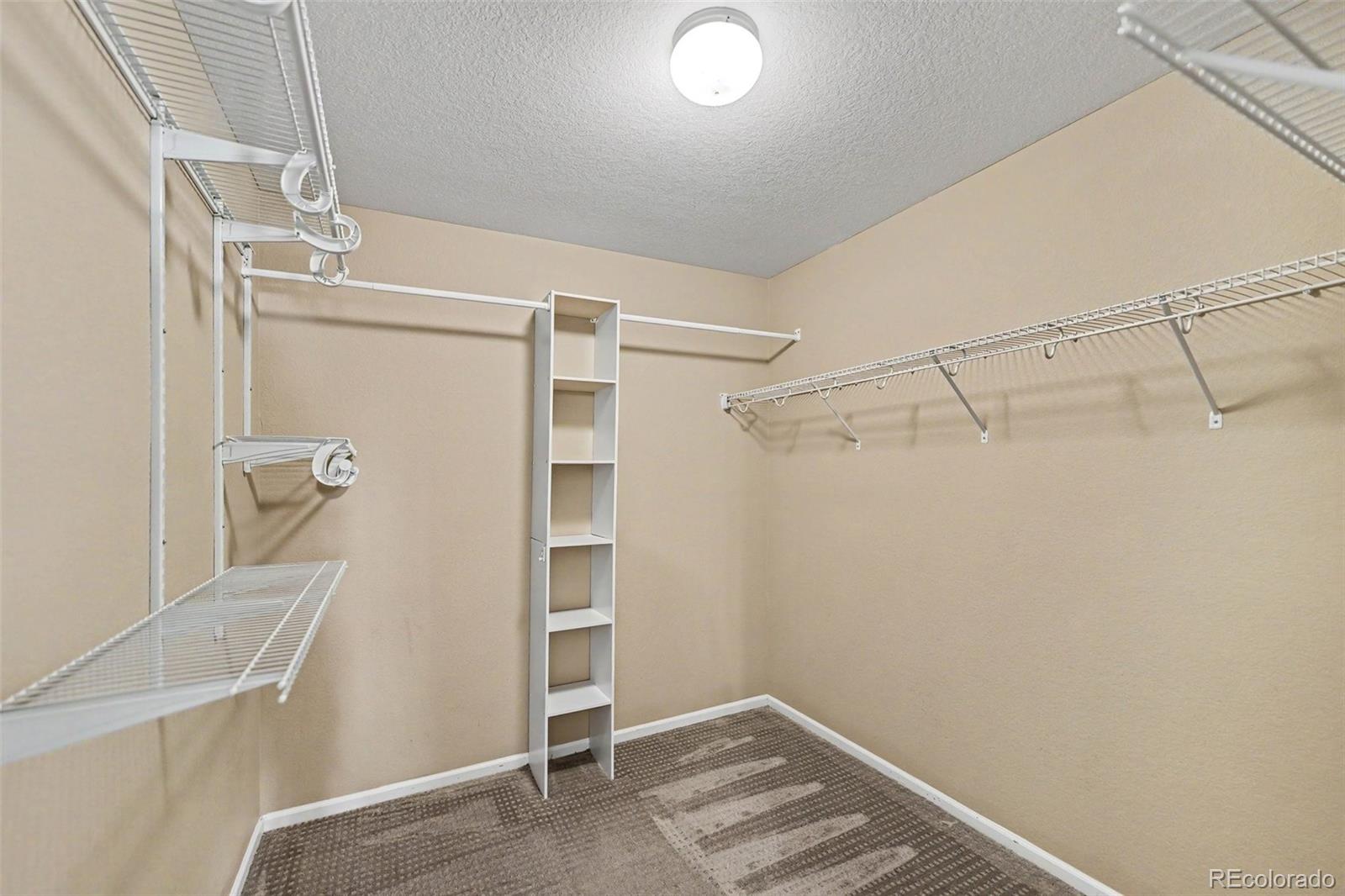 MLS Image #13 for 5510  spring ridge trail,castle rock, Colorado