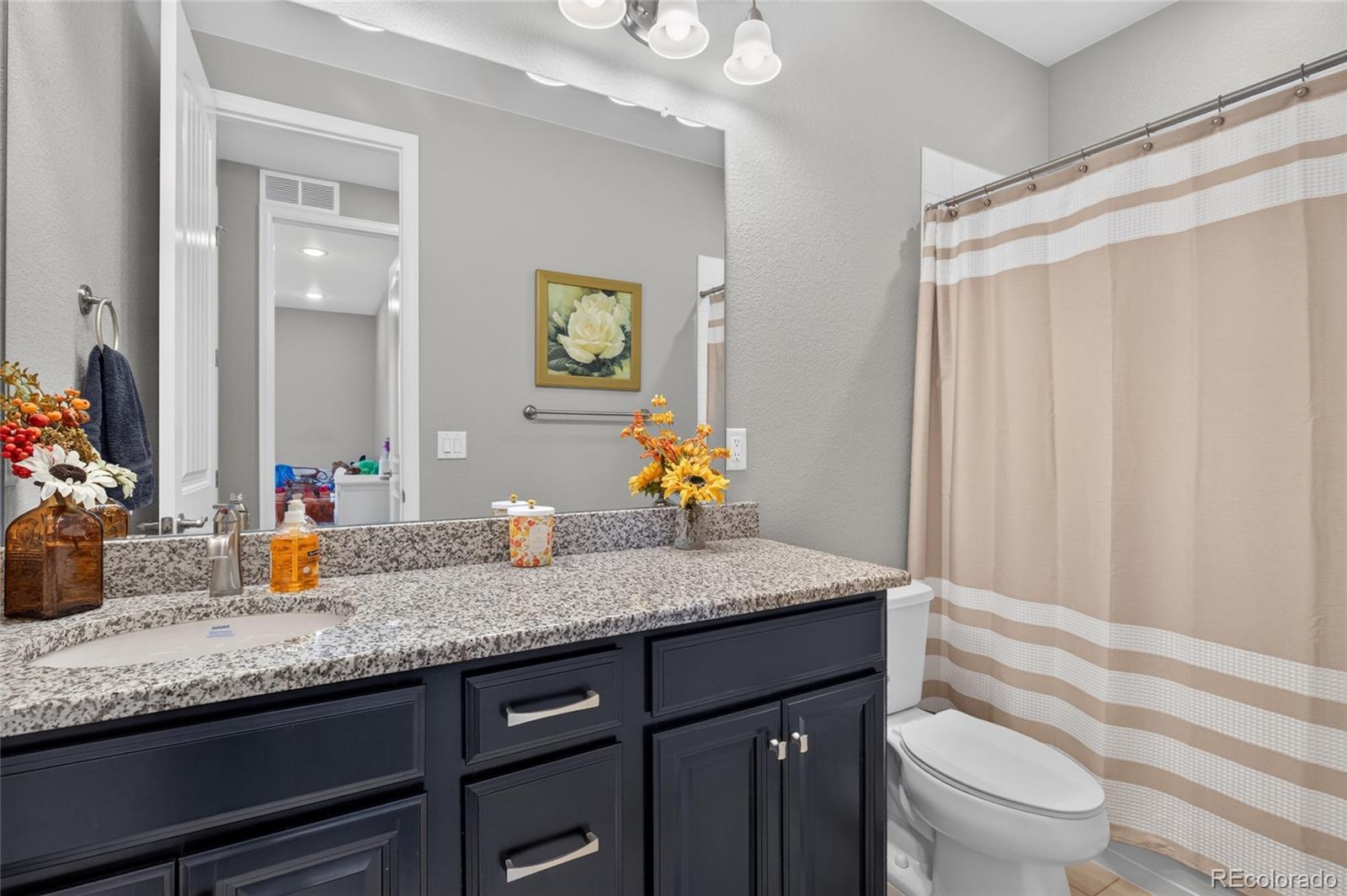 MLS Image #16 for 11486  kittredge street,commerce city, Colorado