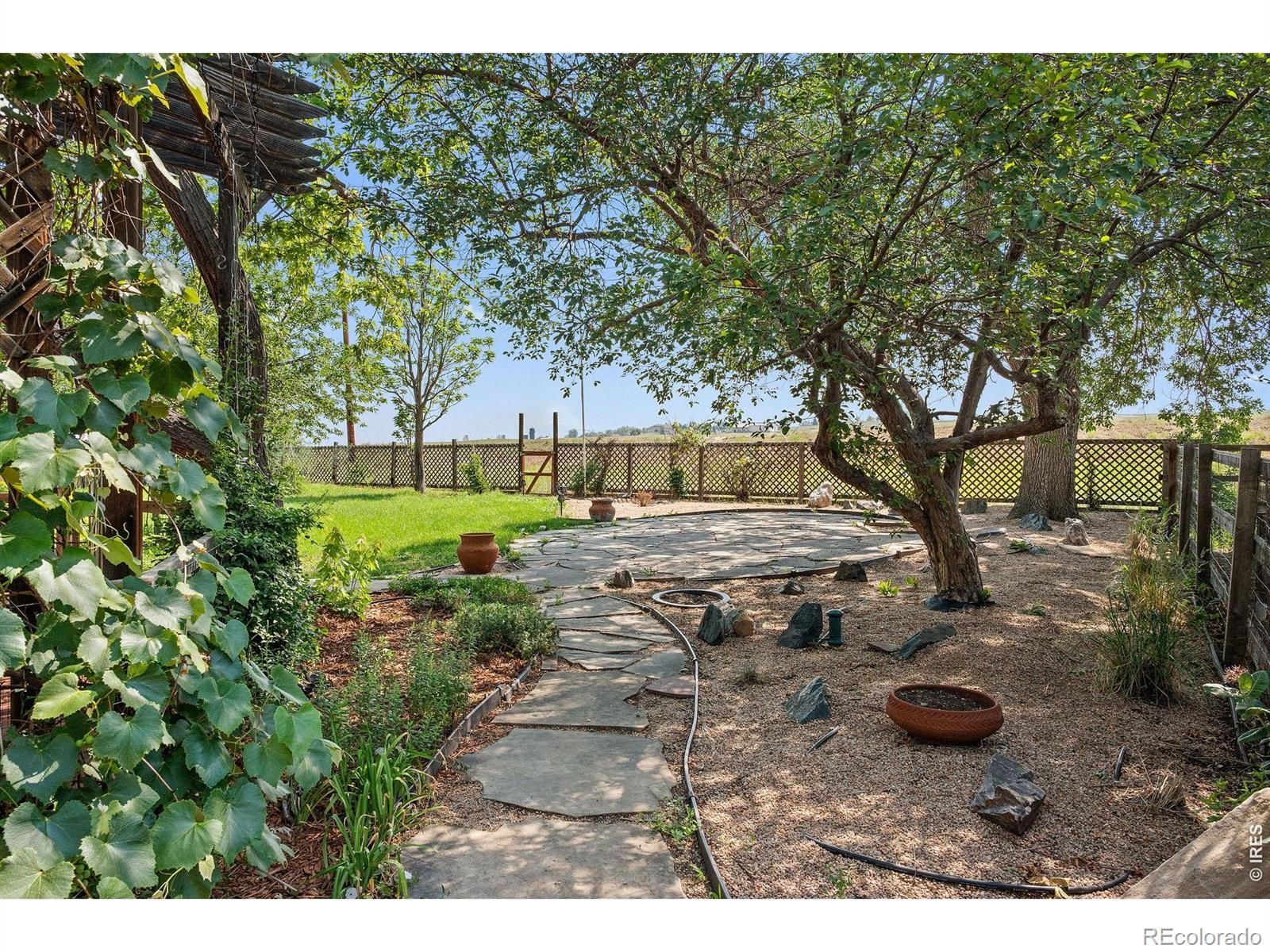 MLS Image #32 for 7458  mount sherman road,longmont, Colorado