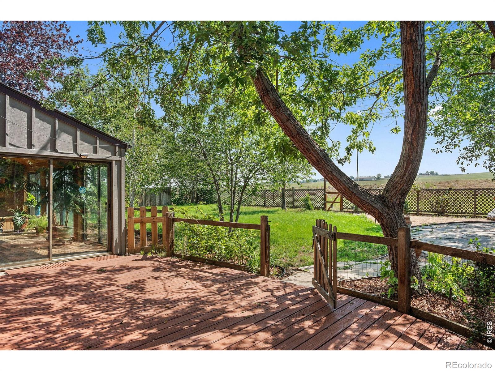 MLS Image #36 for 7458  mount sherman road,longmont, Colorado