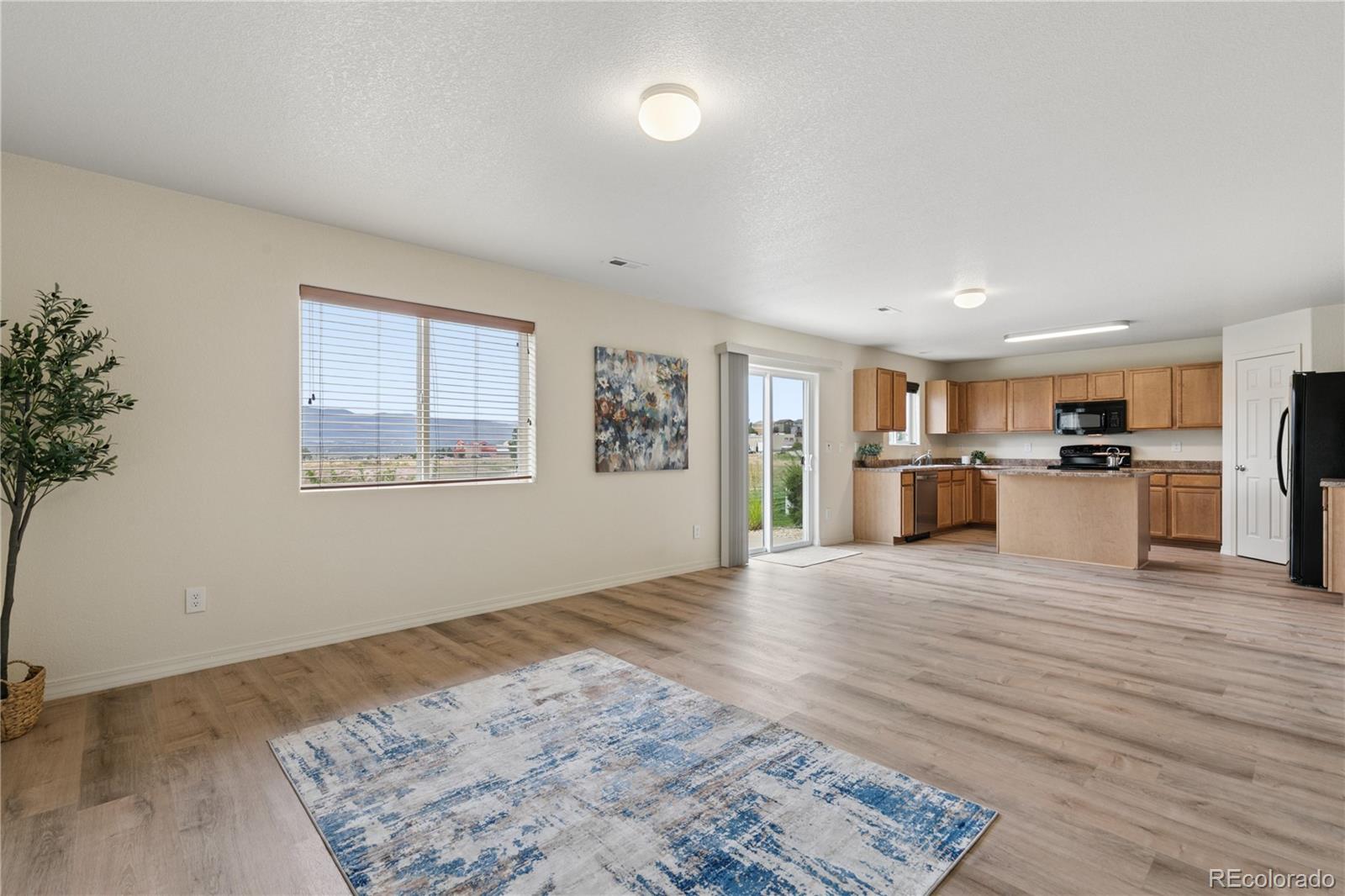 MLS Image #3 for 11675  black maple lane,colorado springs, Colorado