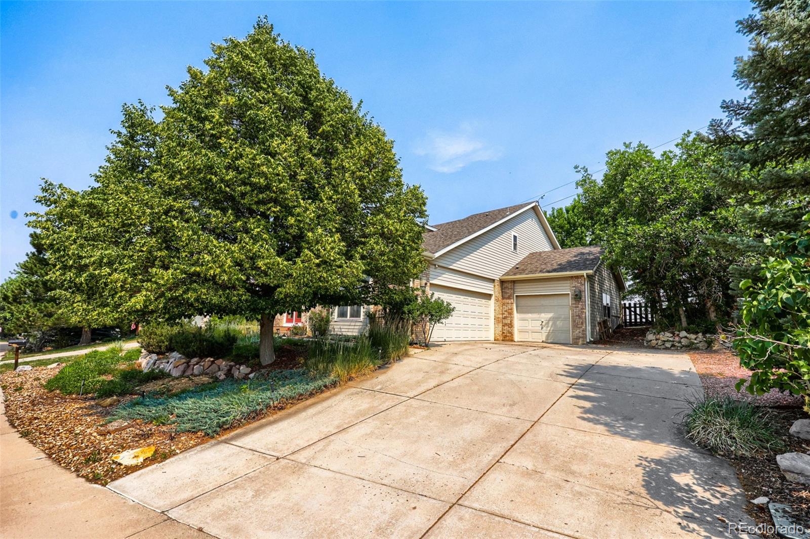 MLS Image #1 for 1277  whispering oak drive,castle rock, Colorado