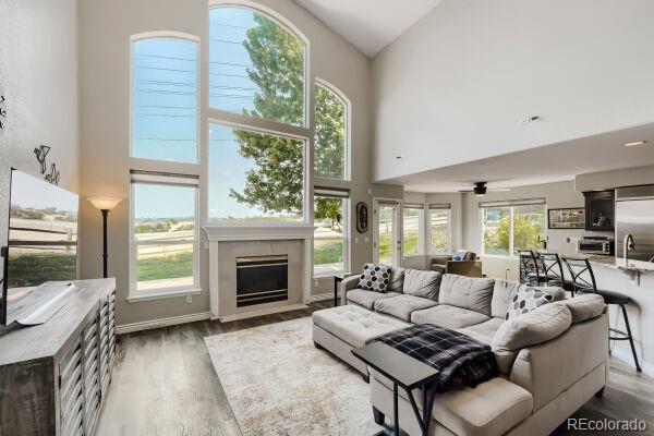 MLS Image #6 for 1277  whispering oak drive,castle rock, Colorado