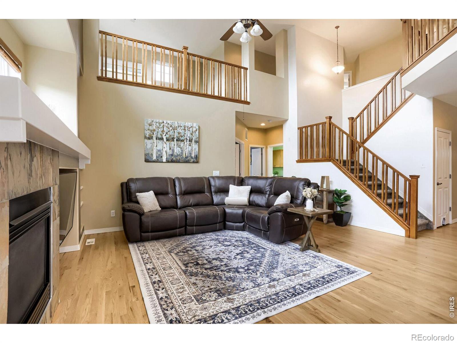 MLS Image #9 for 830  tanager circle,longmont, Colorado