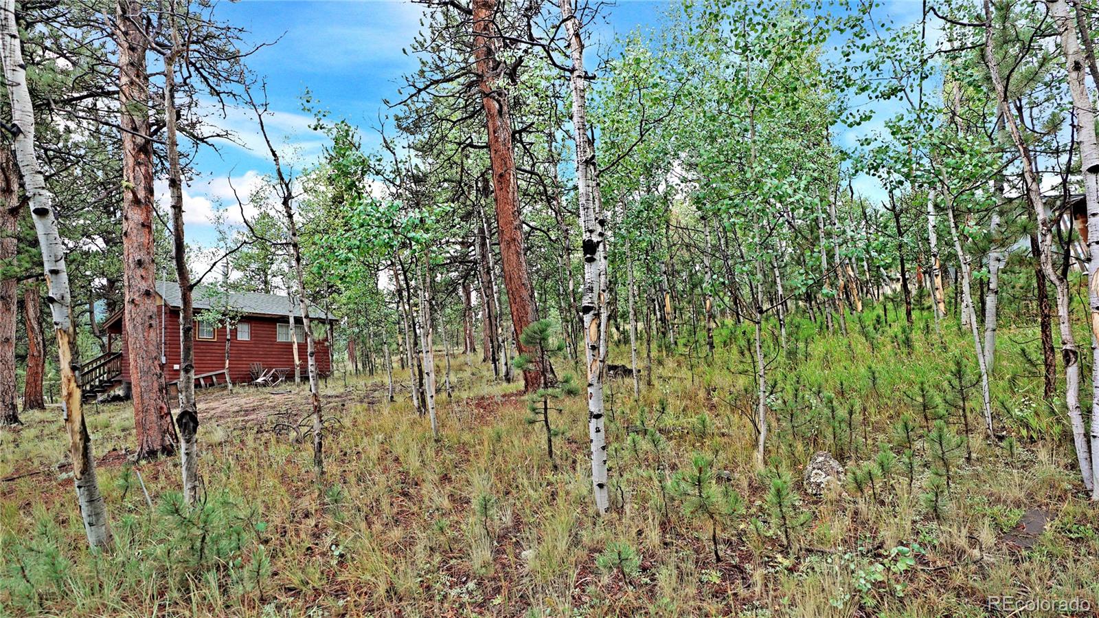 MLS Image #11 for 109  wolf ,bailey, Colorado