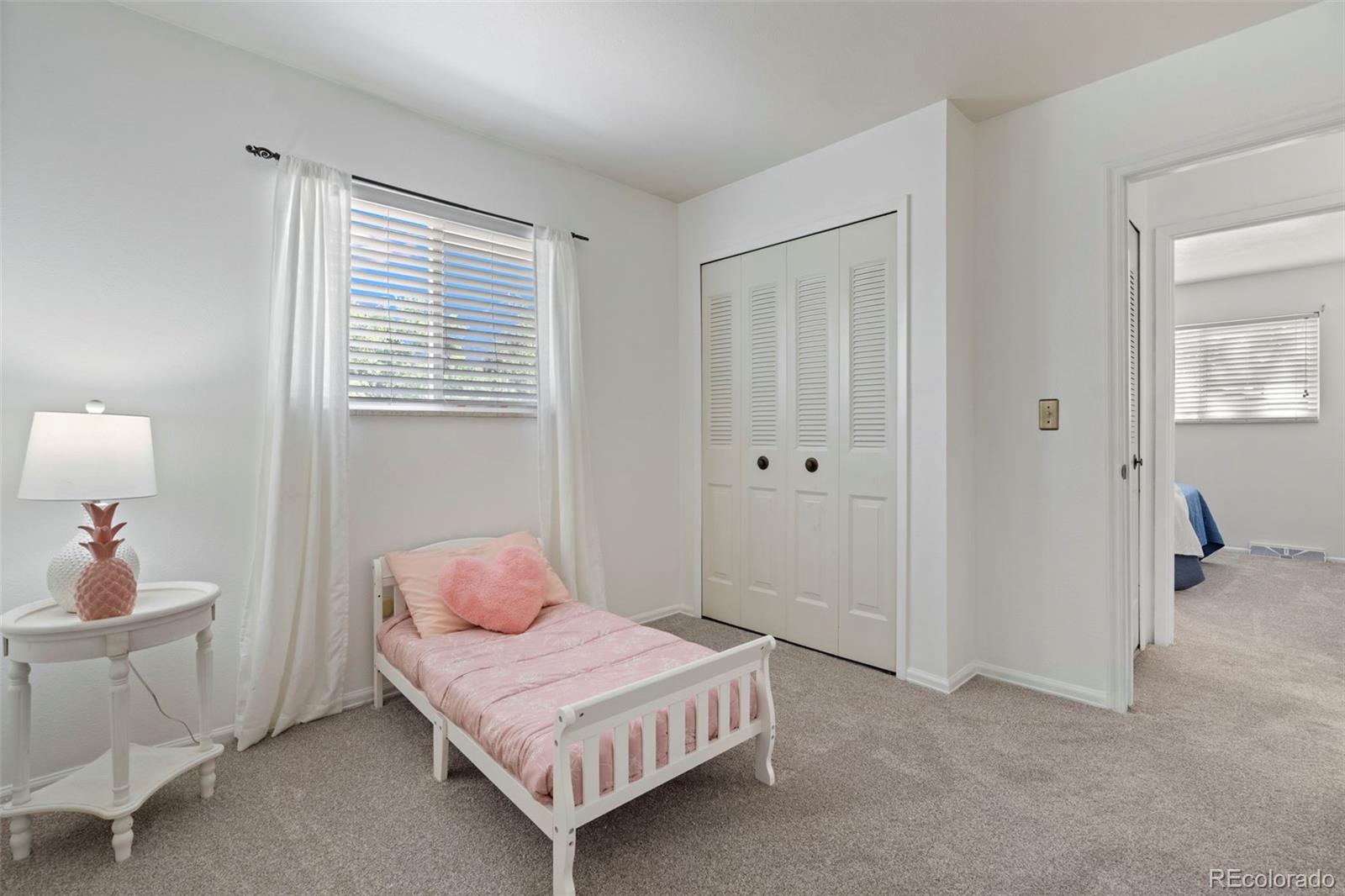 MLS Image #22 for 6571  zinnia street,arvada, Colorado