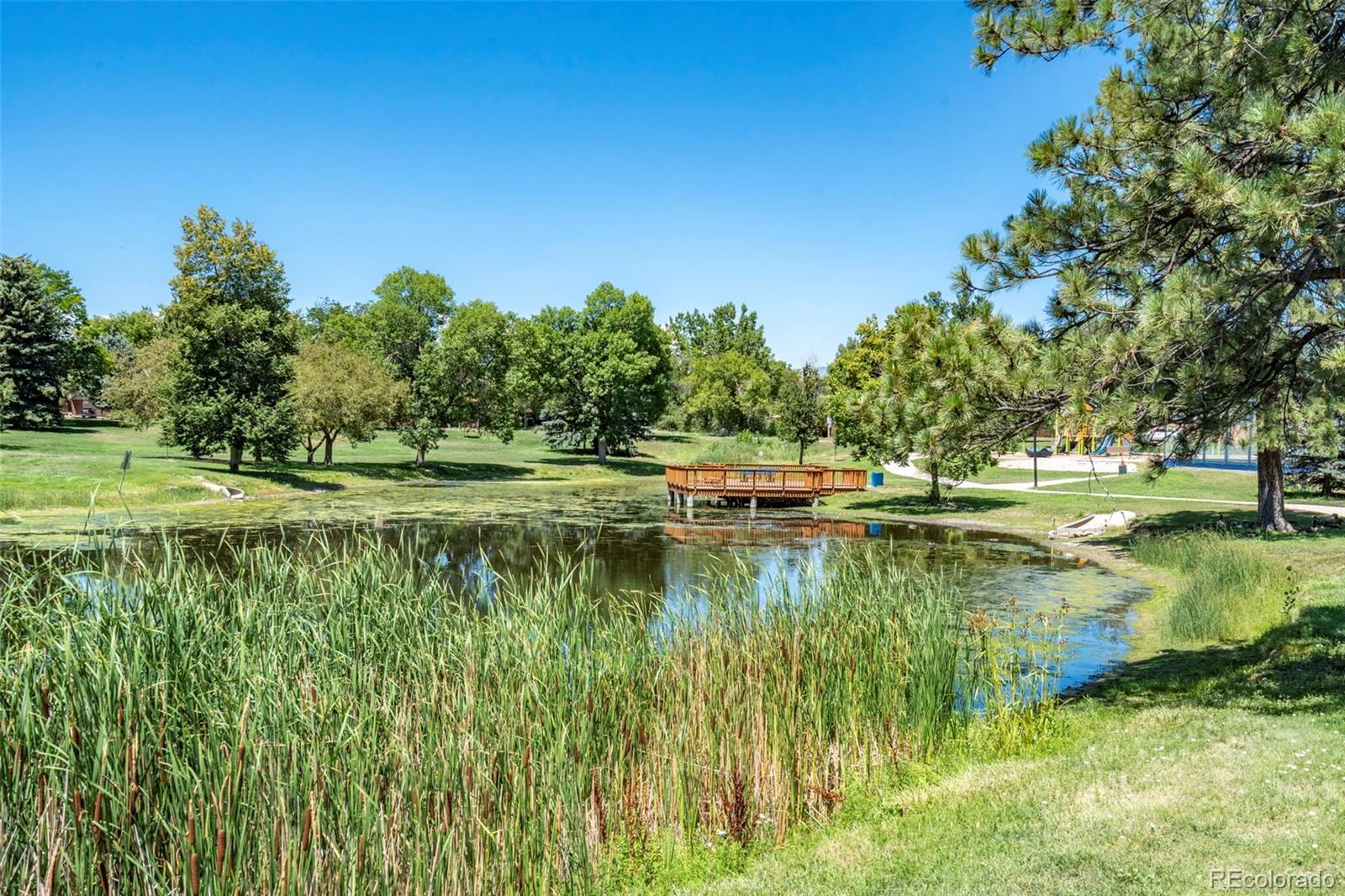 MLS Image #36 for 6571  zinnia street,arvada, Colorado