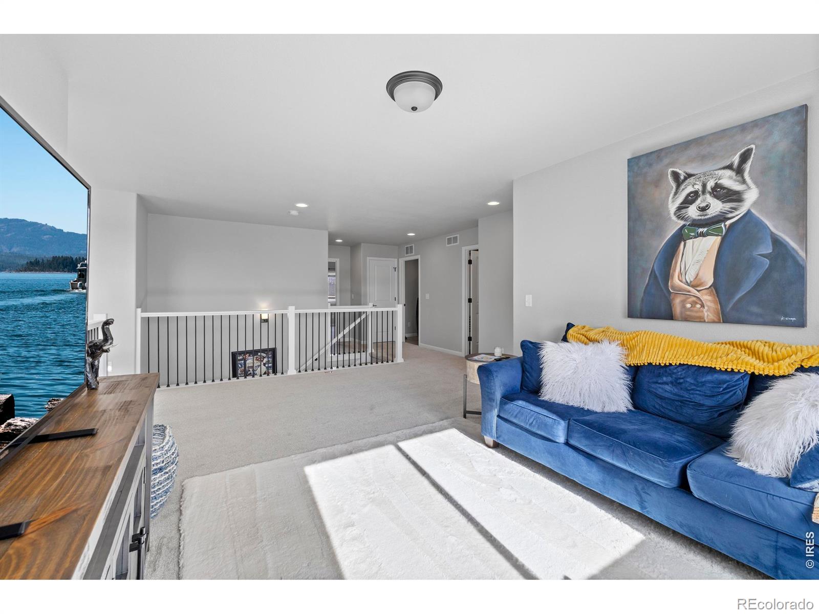 MLS Image #18 for 356  bluestar drive,windsor, Colorado