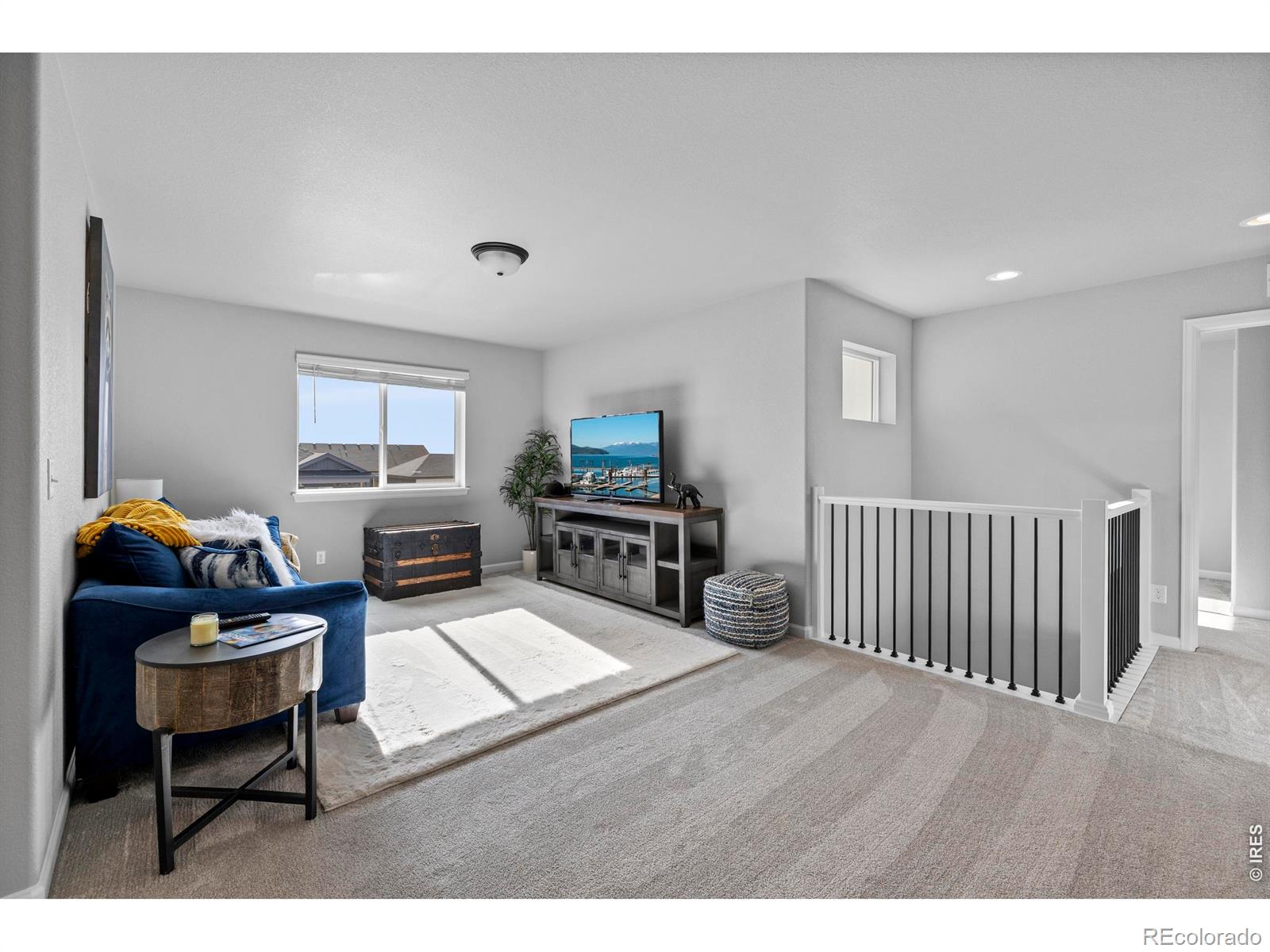 MLS Image #19 for 356  bluestar drive,windsor, Colorado