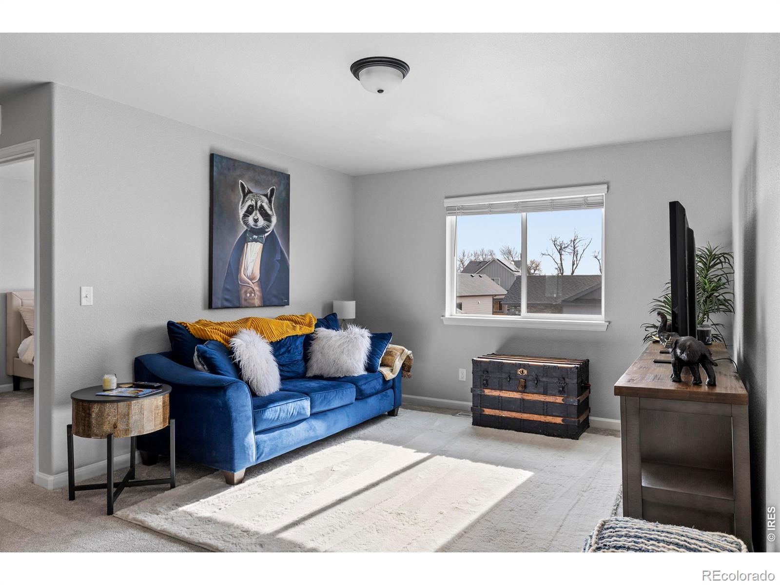 MLS Image #20 for 356  bluestar drive,windsor, Colorado