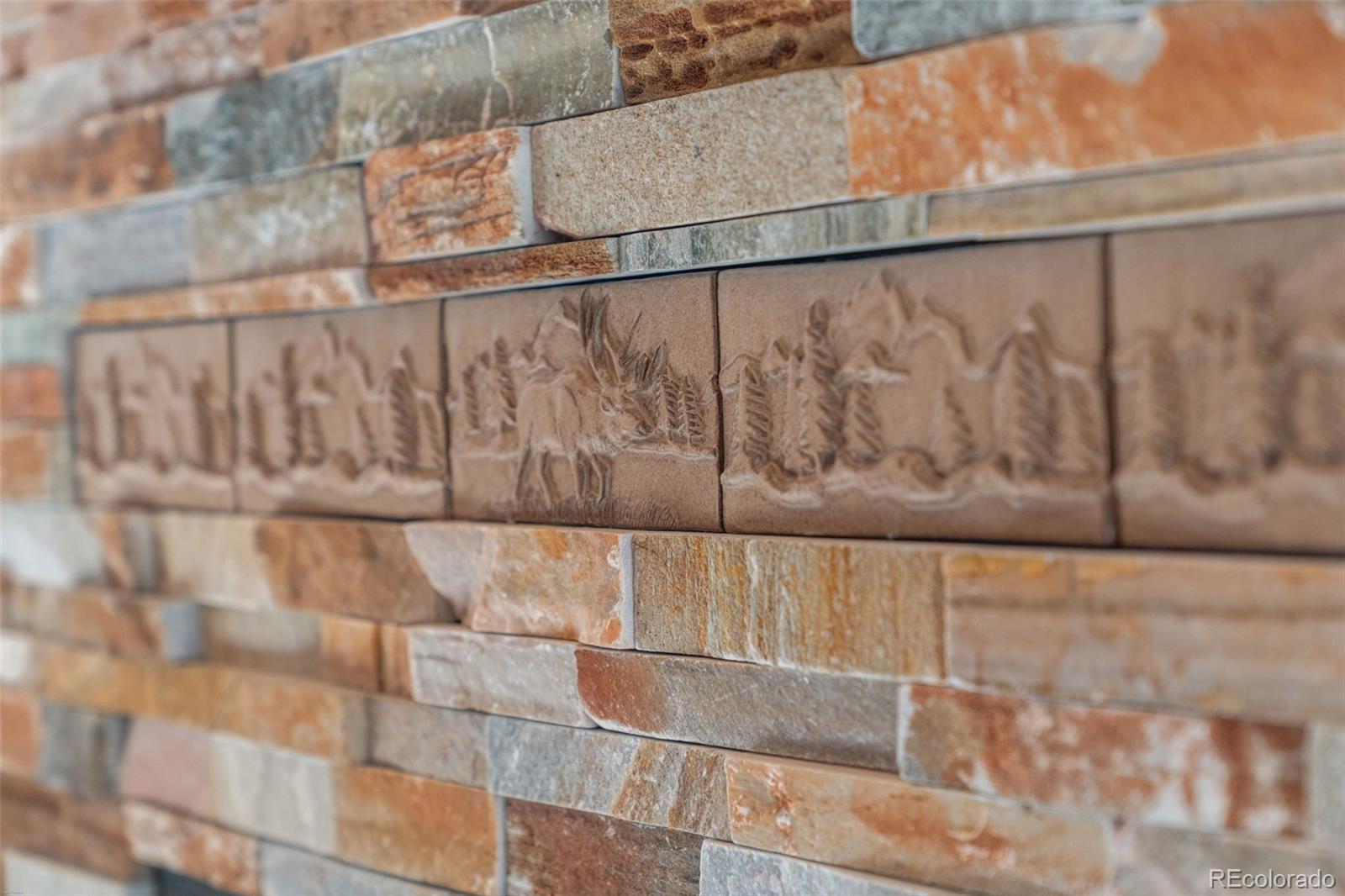 MLS Image #10 for 114  star lane,bailey, Colorado