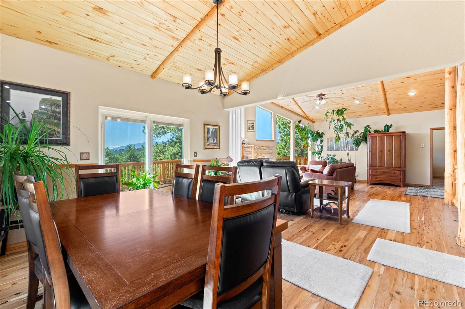 MLS Image #20 for 114  star lane,bailey, Colorado