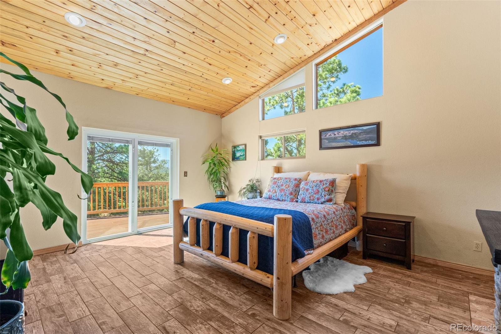 MLS Image #22 for 114  star lane,bailey, Colorado