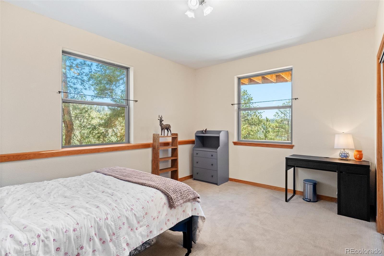 MLS Image #27 for 114  star lane,bailey, Colorado