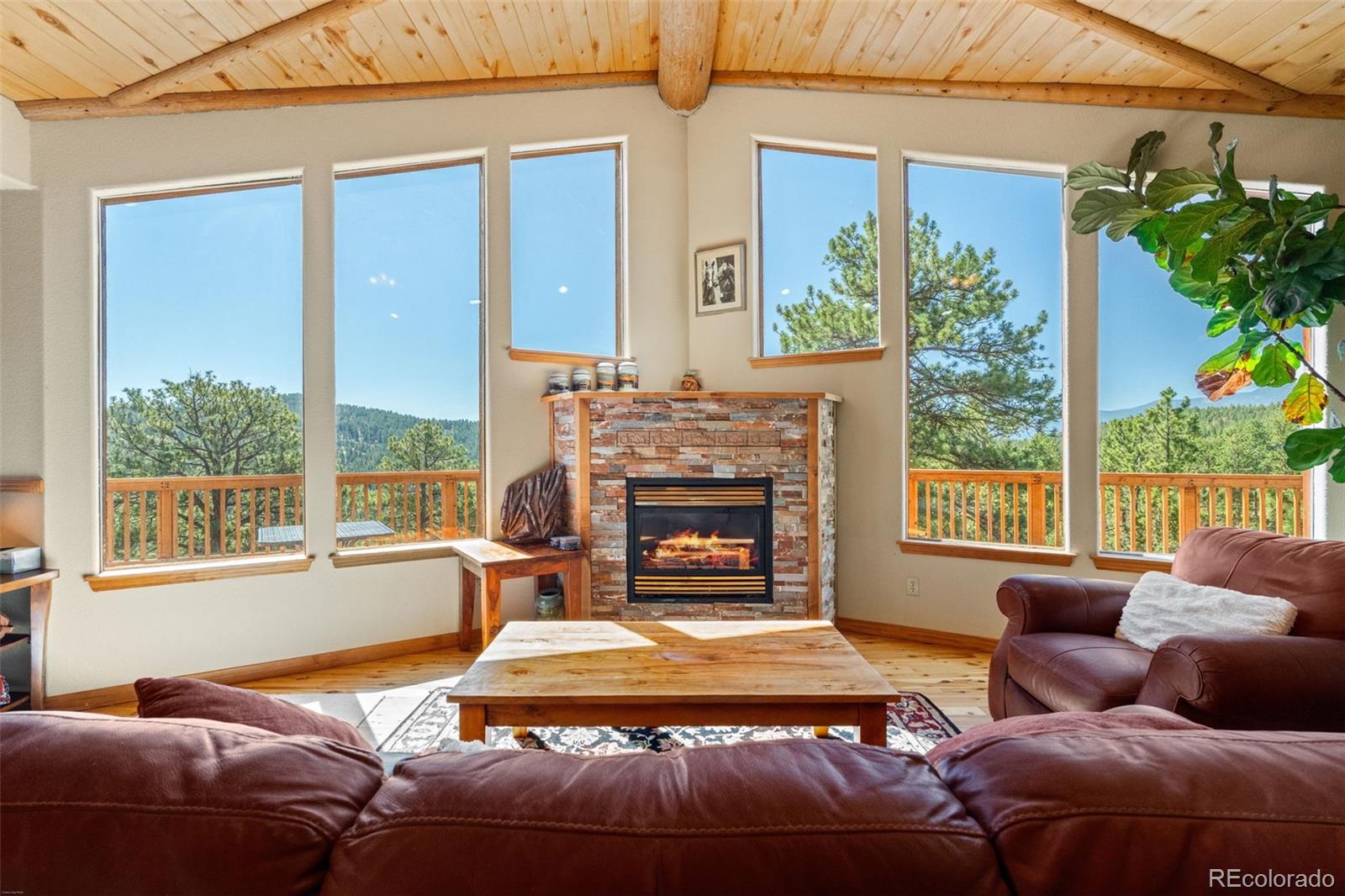 MLS Image #9 for 114  star lane,bailey, Colorado