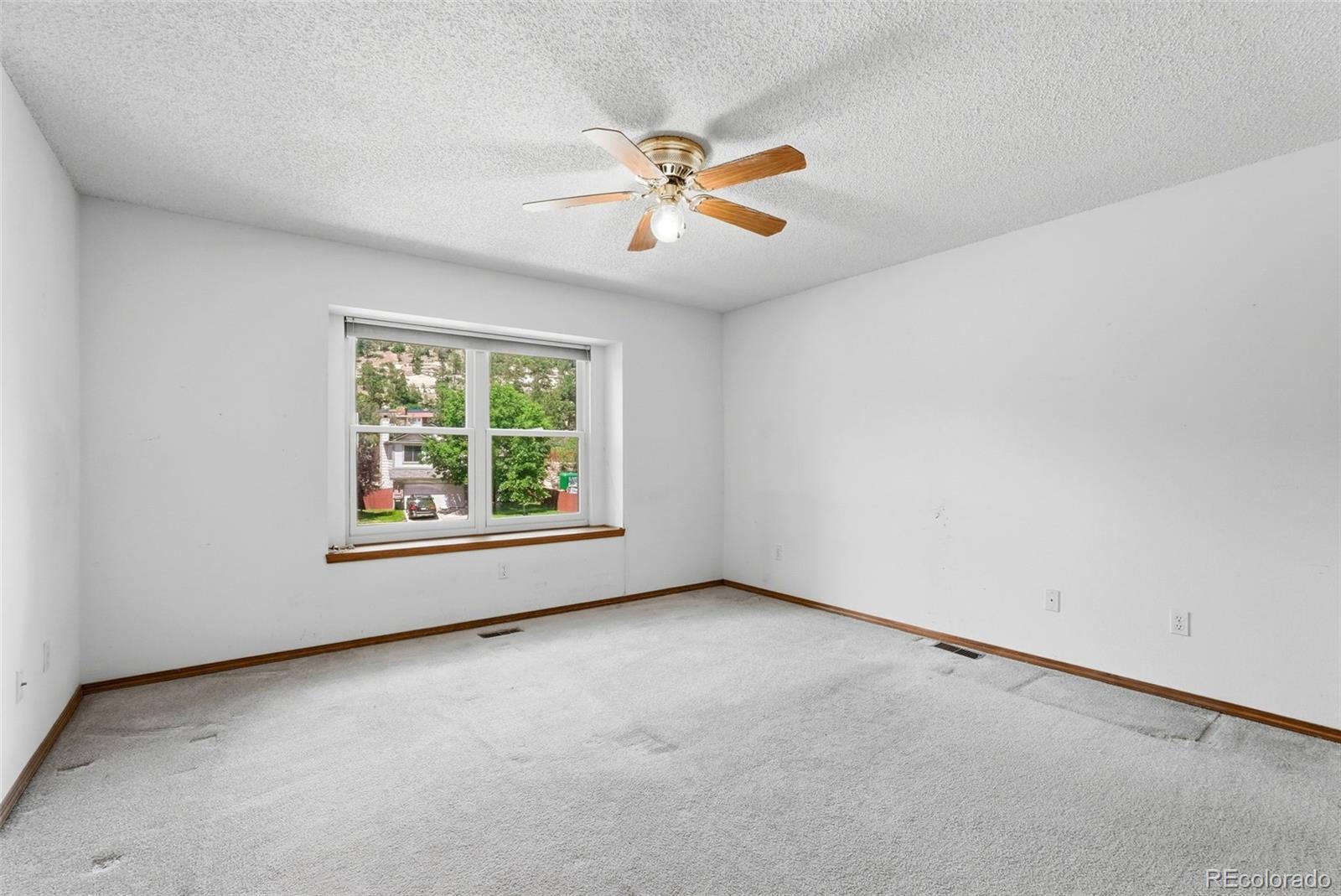 MLS Image #10 for 1015  dancing horse drive,colorado springs, Colorado