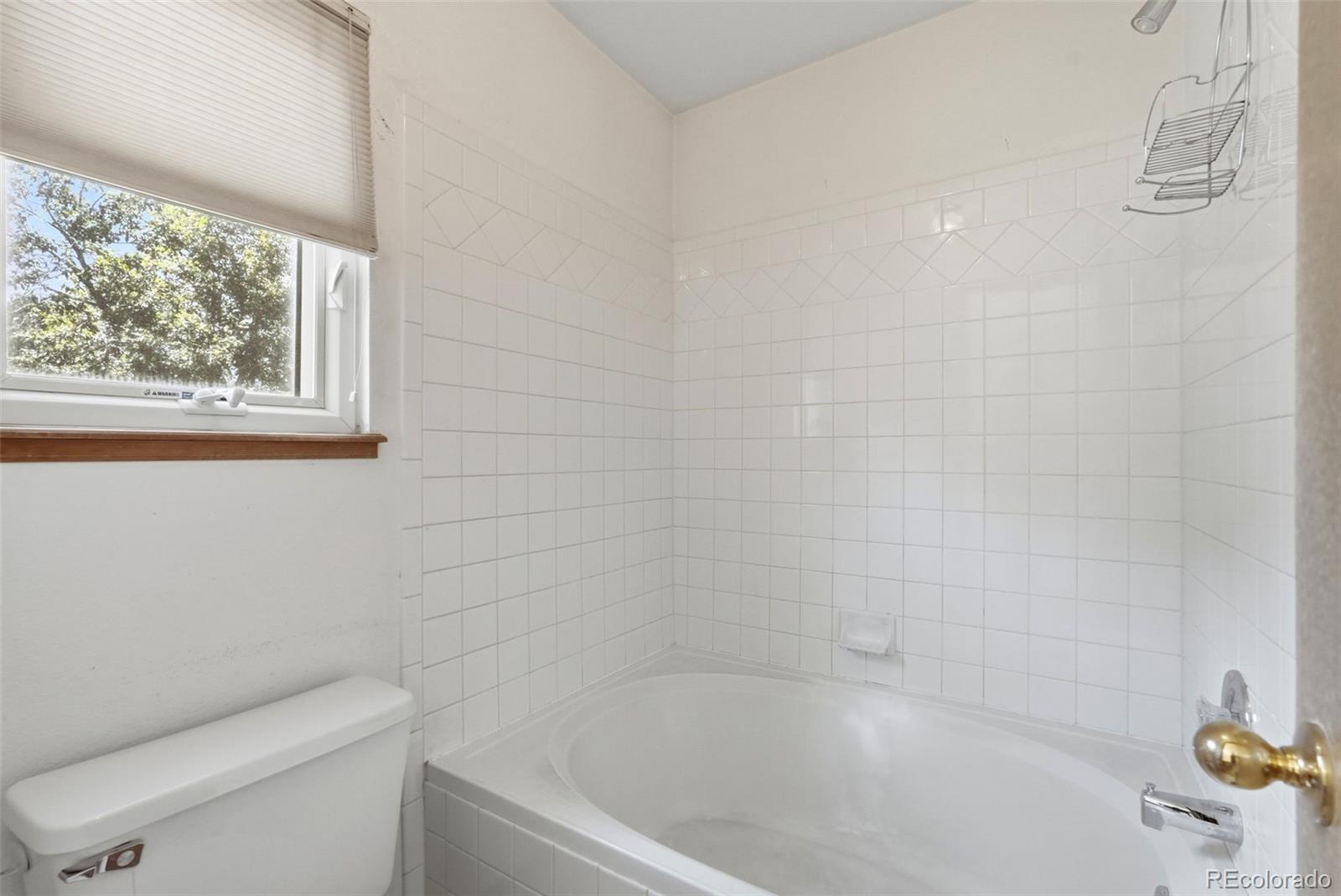 MLS Image #13 for 1015  dancing horse drive,colorado springs, Colorado