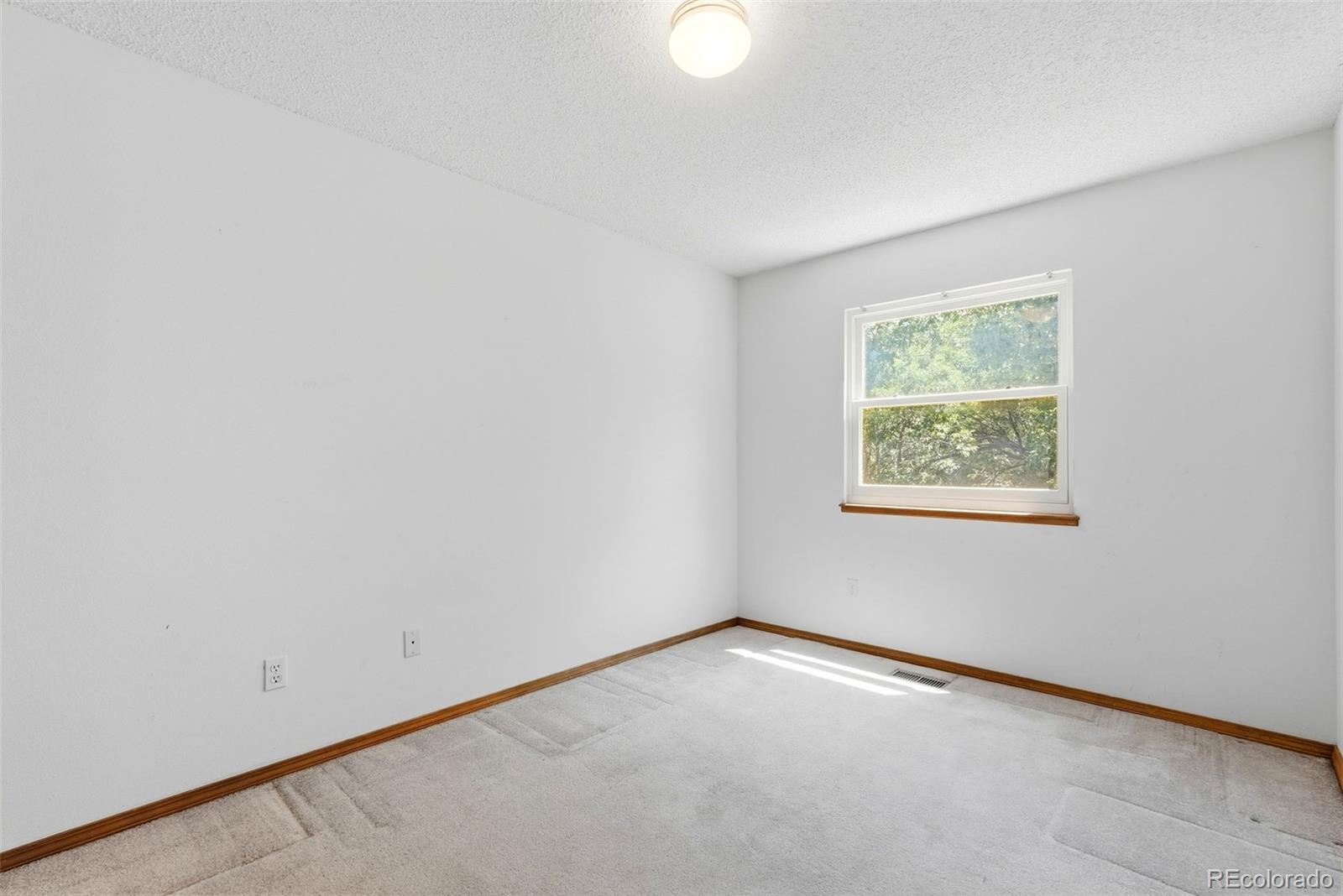 MLS Image #14 for 1015  dancing horse drive,colorado springs, Colorado