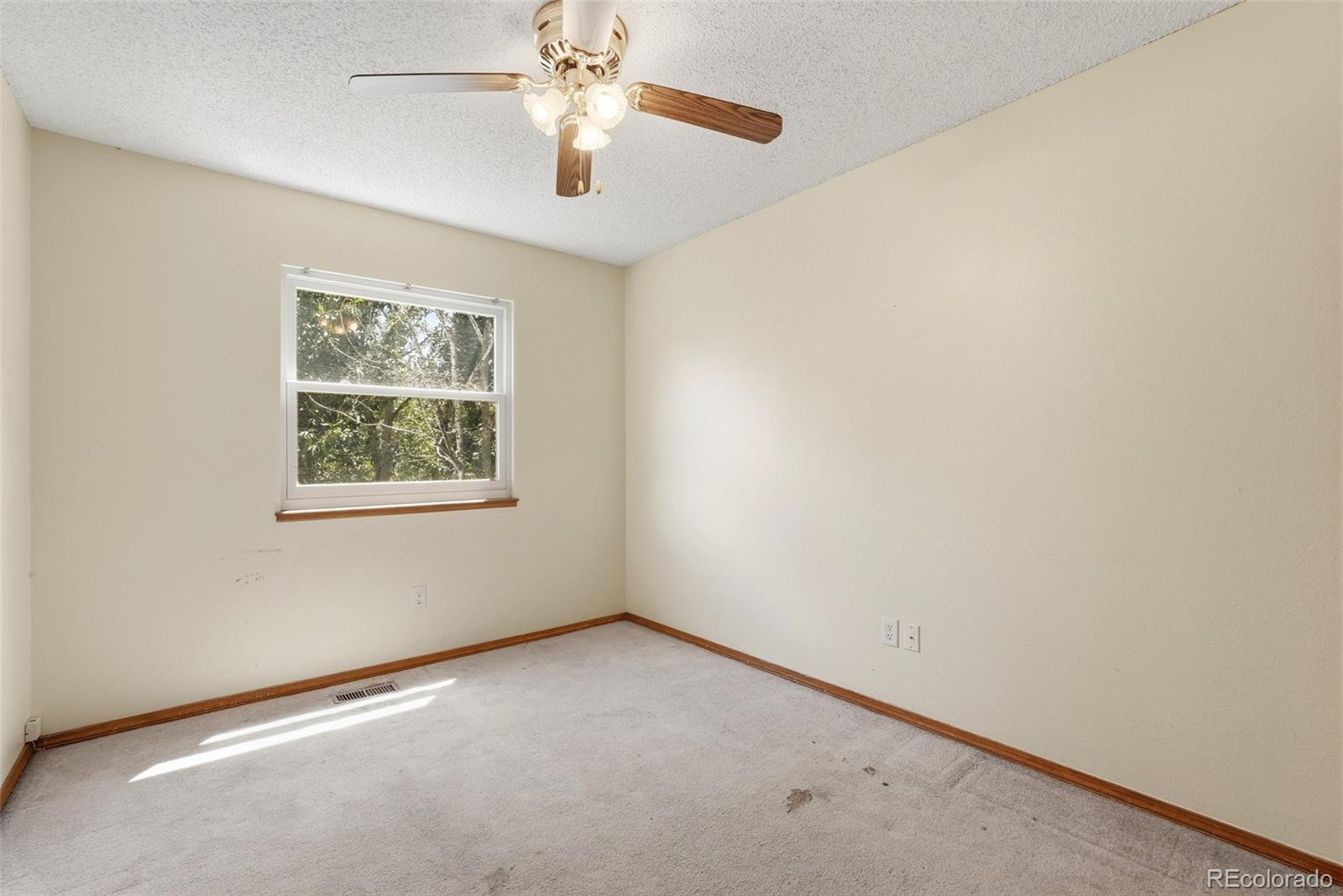 MLS Image #18 for 1015  dancing horse drive,colorado springs, Colorado
