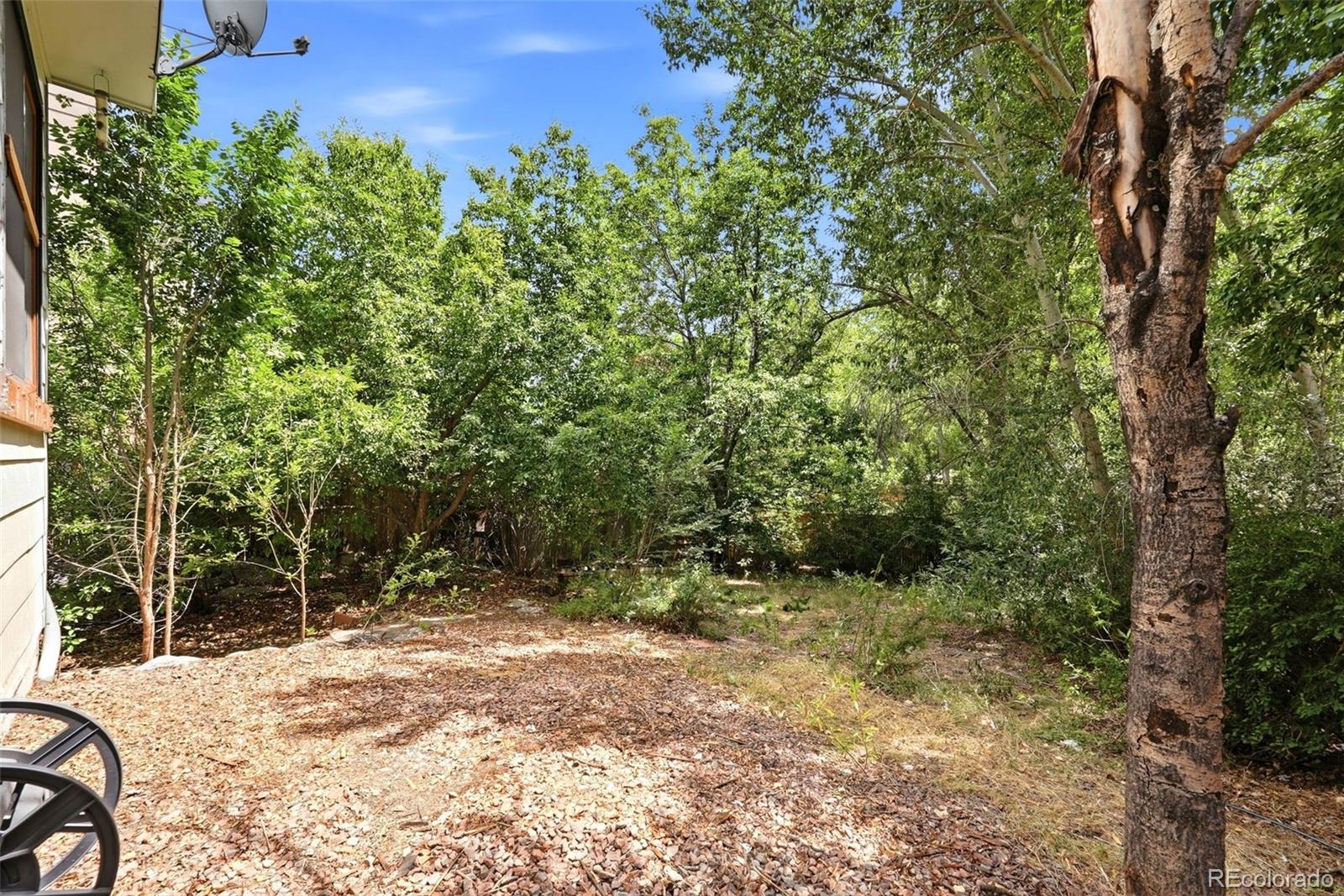 MLS Image #25 for 1015  dancing horse drive,colorado springs, Colorado