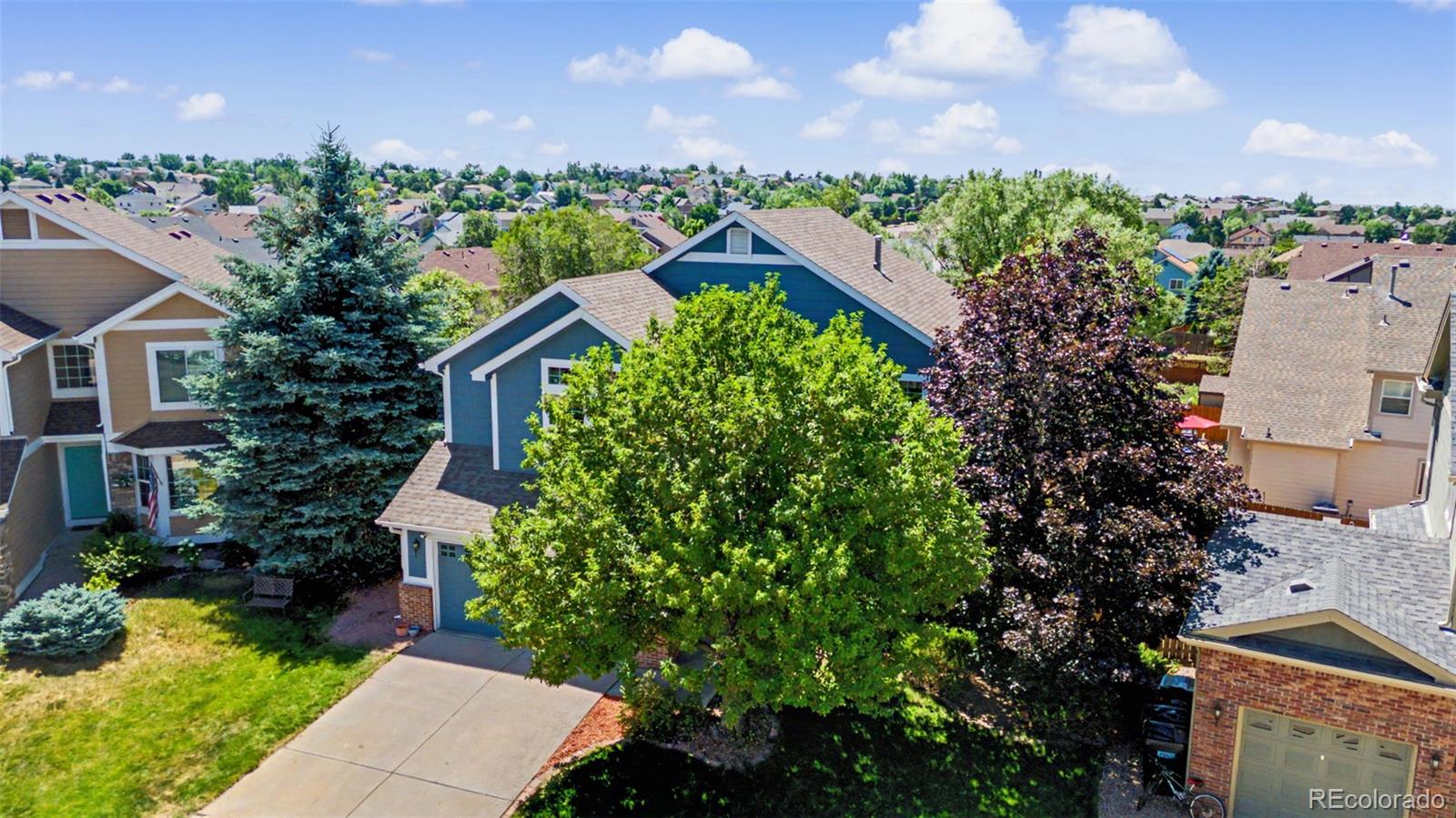 MLS Image #2 for 7127  cowgirl way,colorado springs, Colorado