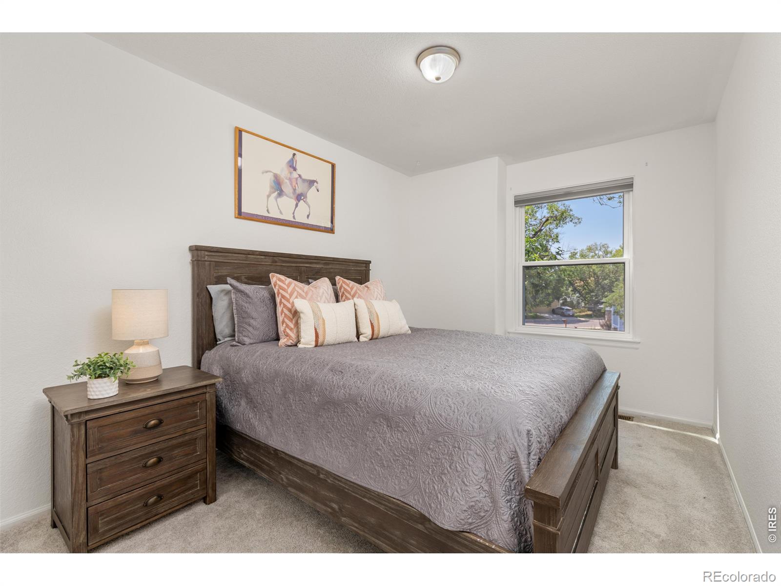 MLS Image #18 for 1023  delta drive,lafayette, Colorado