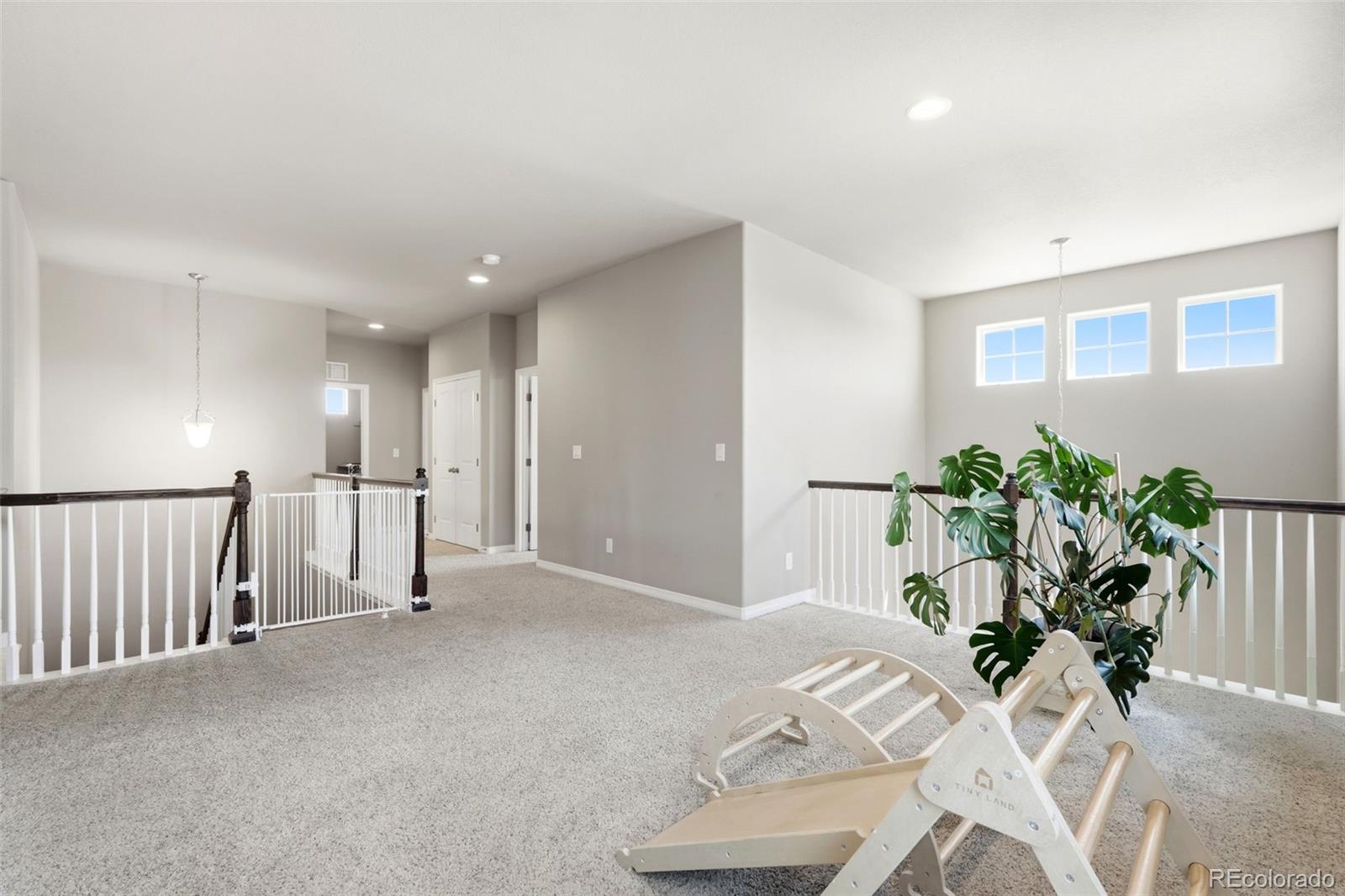 MLS Image #15 for 6536  kearsarge drive,colorado springs, Colorado