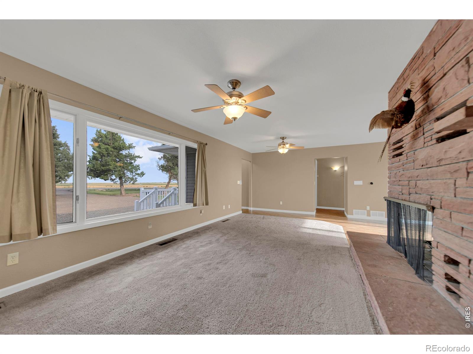MLS Image #11 for 365 s cedar avenue,akron, Colorado