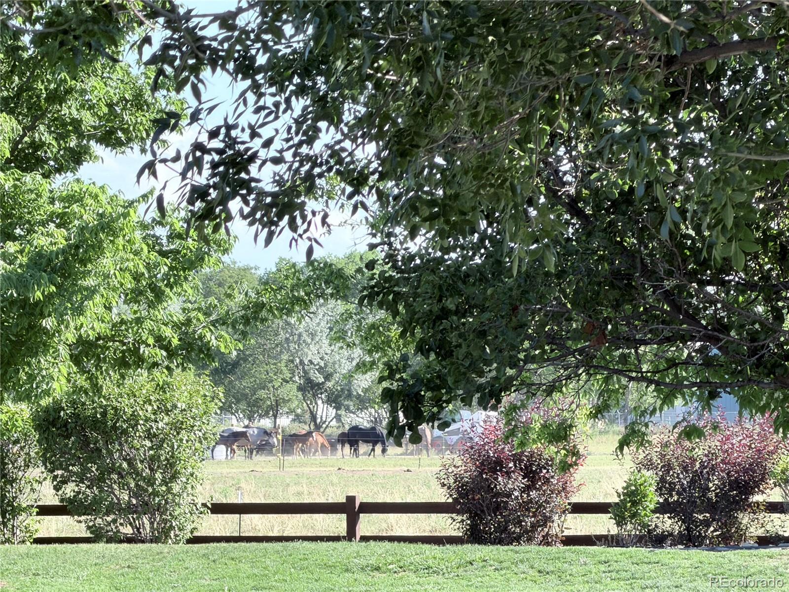 MLS Image #47 for 421  noquet court,fort collins, Colorado