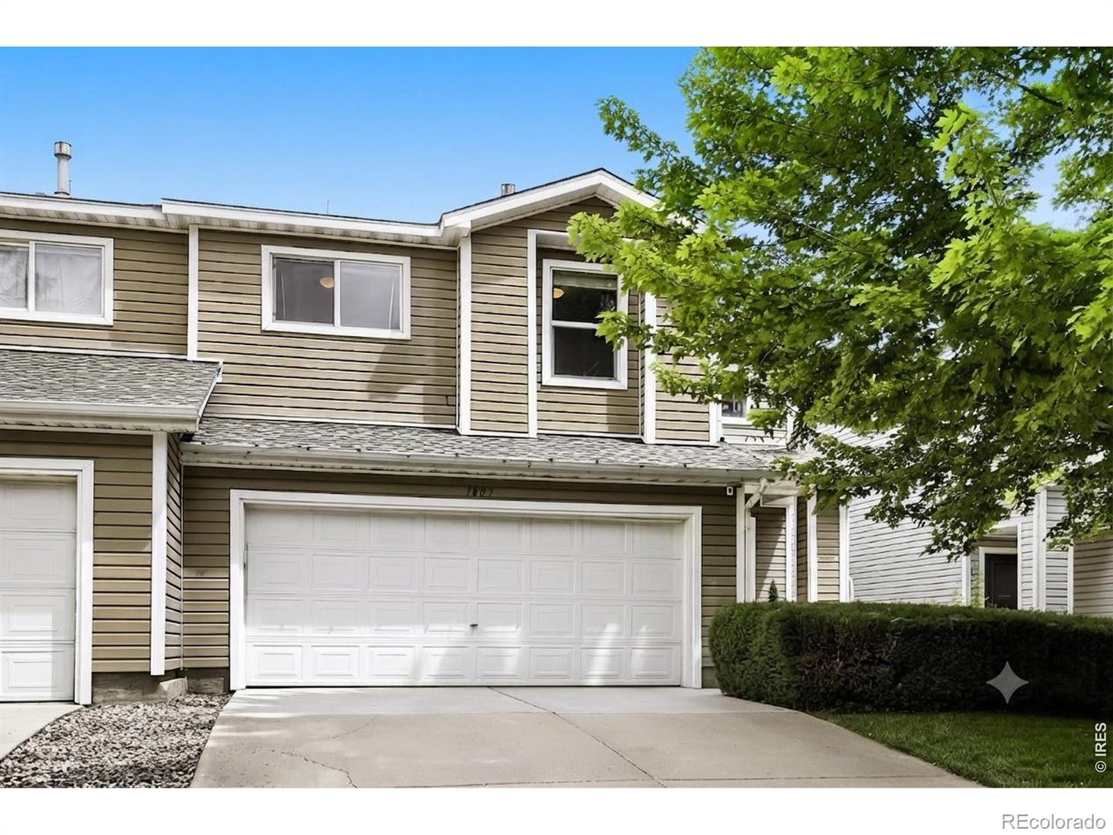 MLS Image #0 for 1805  elk springs street,loveland, Colorado