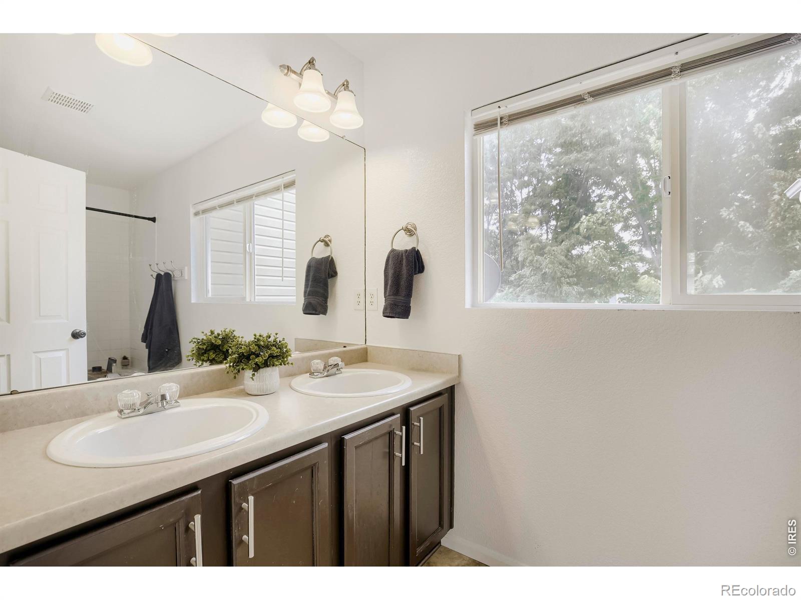 MLS Image #14 for 1805  elk springs street,loveland, Colorado