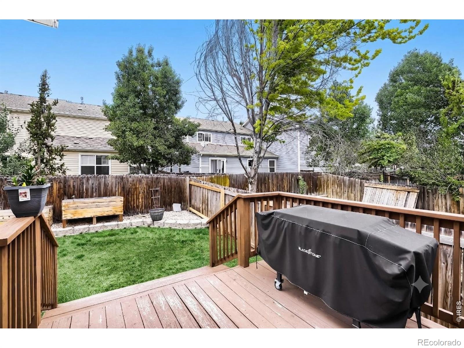 MLS Image #23 for 1805  elk springs street,loveland, Colorado