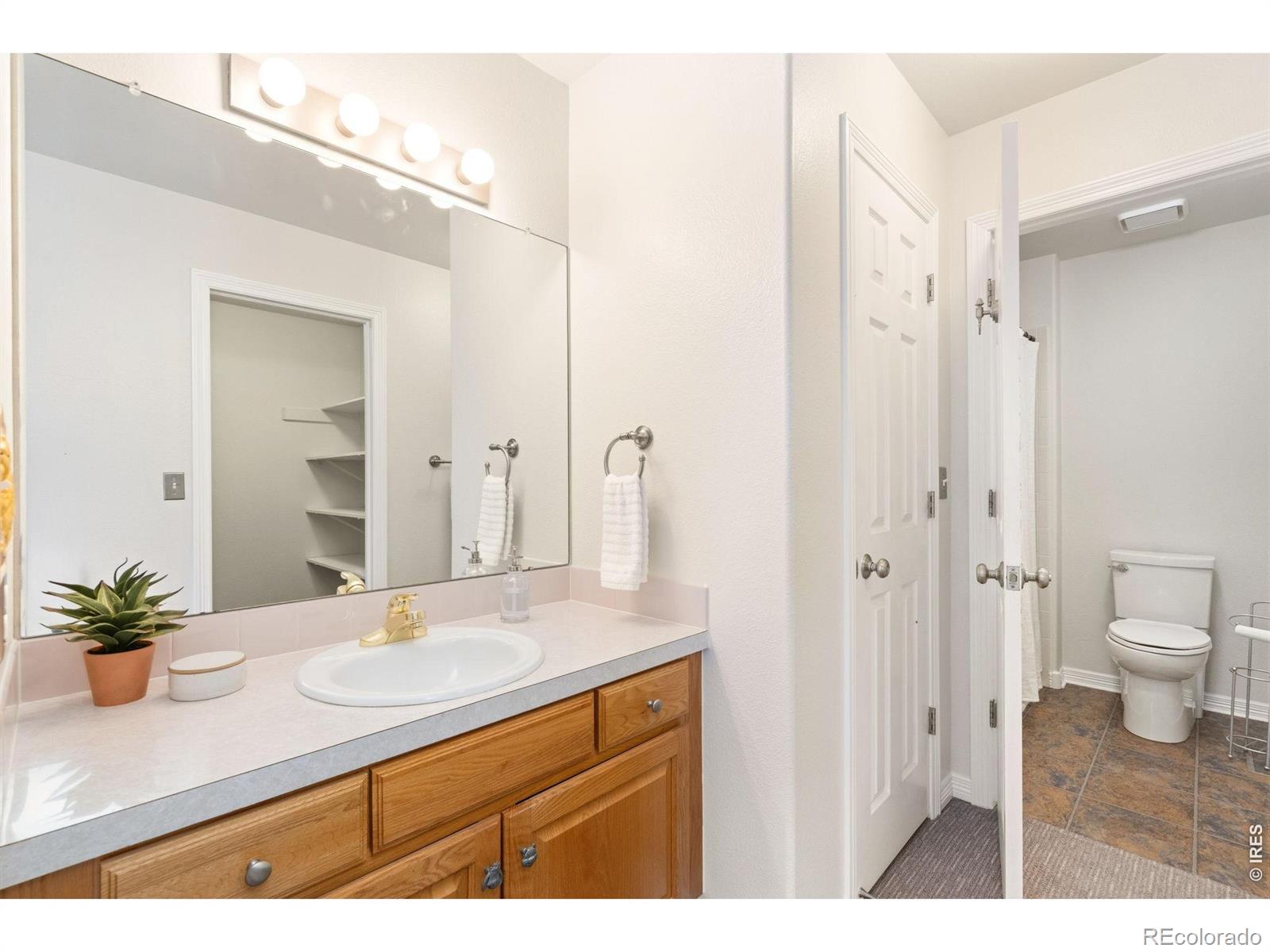 MLS Image #29 for 1431  cactus court,fort collins, Colorado