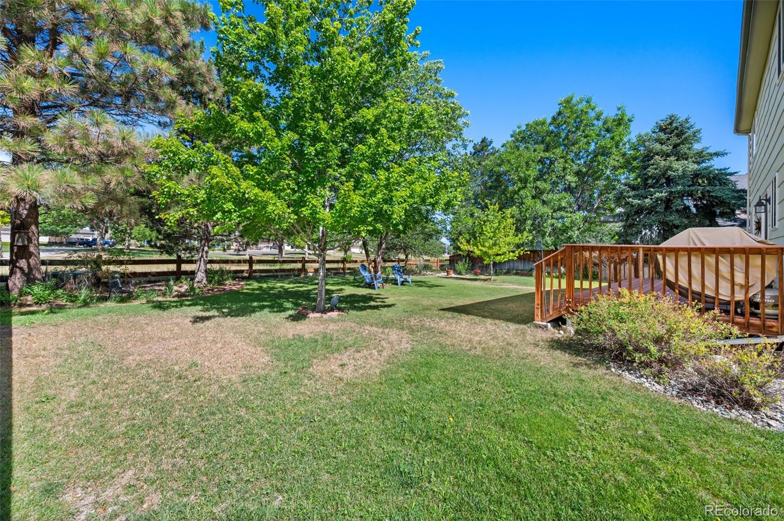 MLS Image #25 for 8979  goosander way,littleton, Colorado
