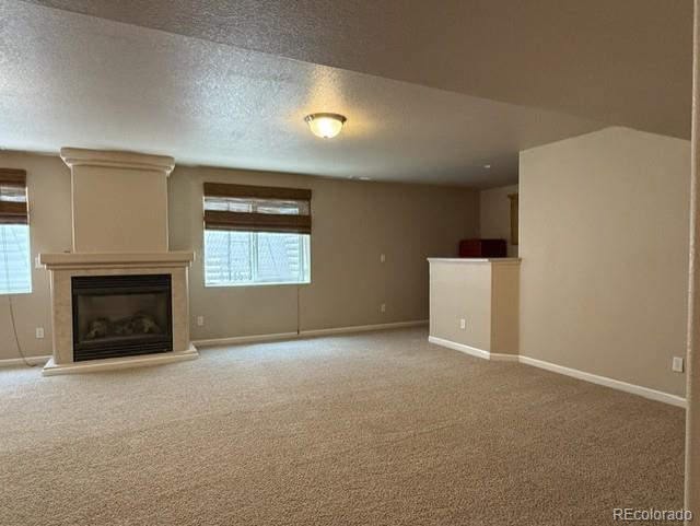 MLS Image #21 for 2176  creek valley circle,monument, Colorado