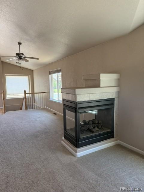 MLS Image #5 for 2176  creek valley circle,monument, Colorado
