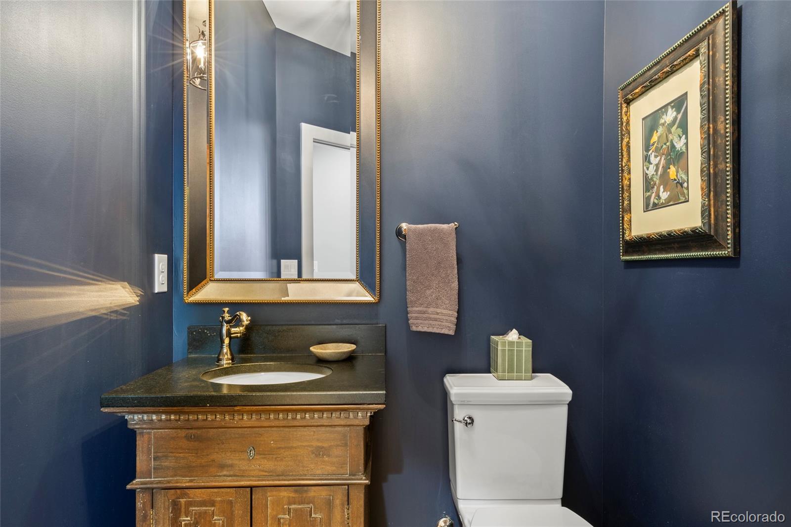 MLS Image #19 for 10909  wild fox point,franktown, Colorado