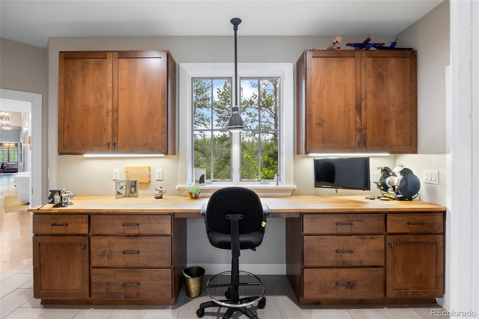 MLS Image #28 for 10909  wild fox point,franktown, Colorado