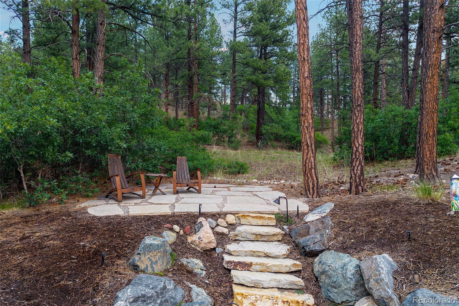 MLS Image #41 for 10909  wild fox point,franktown, Colorado